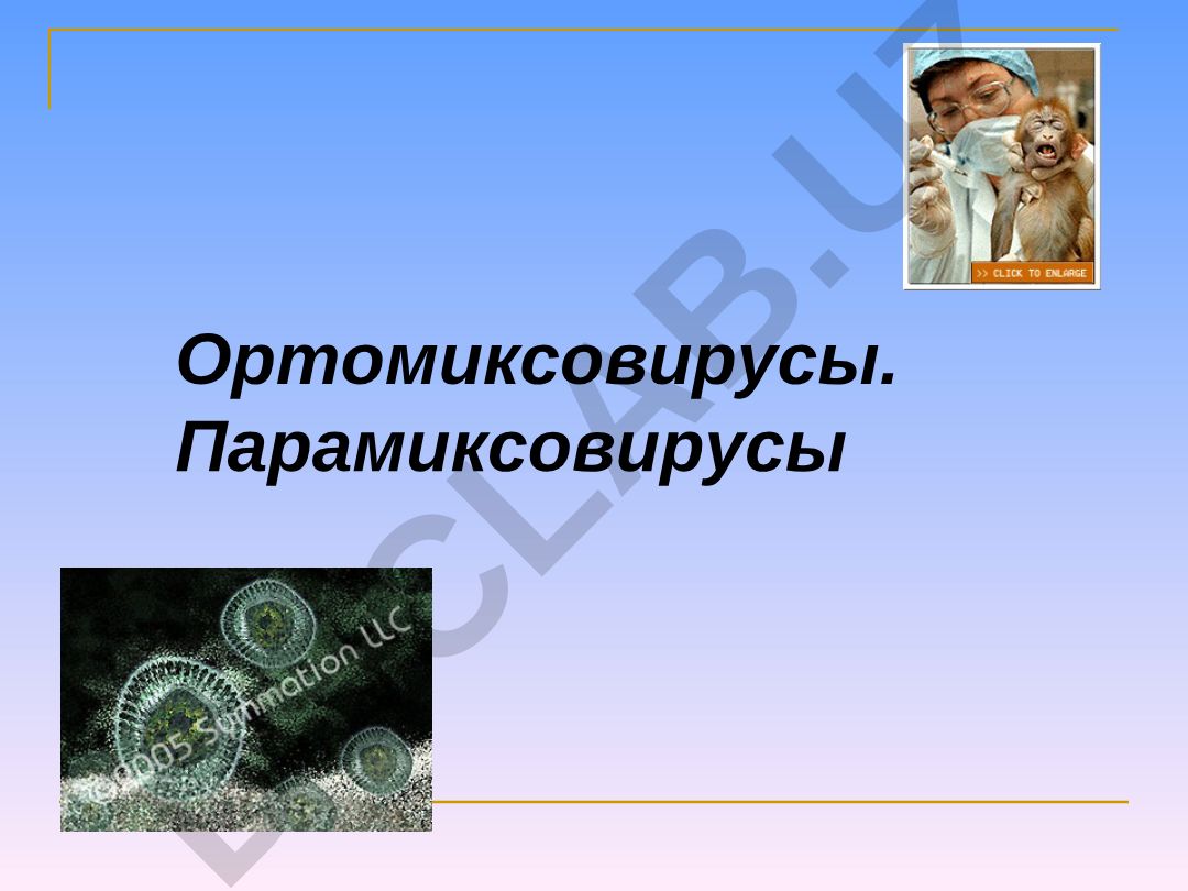 Ортомиксовирусы и парамиксовирусы при острых респираторных вирусных инфекциях