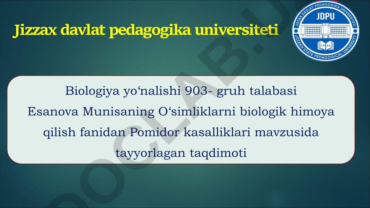 Pomidor kasalliklari