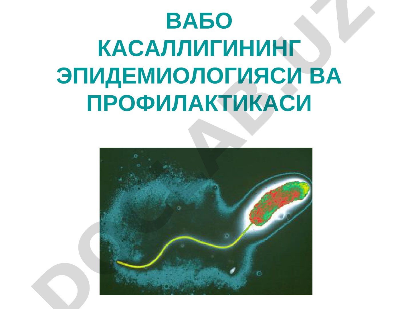 Вабо касаллигининг эпидемиологияси ва профилактикаси