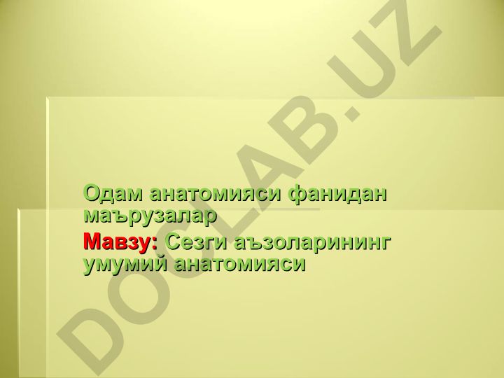 Сезги аъзоларининг умумий анатомиси