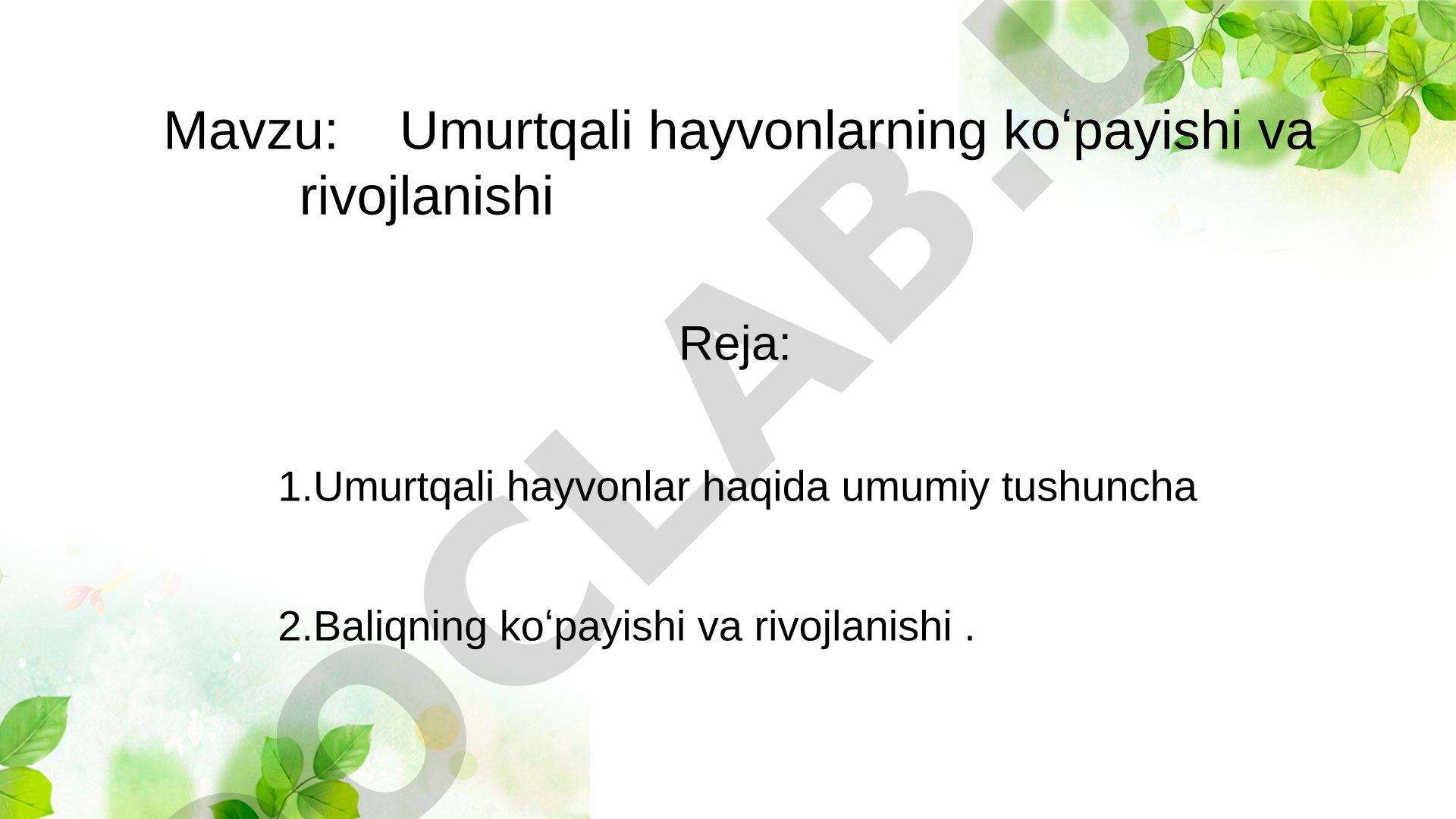 Umurtqali hayvonlarning koʻpayishi va rivojlanishi