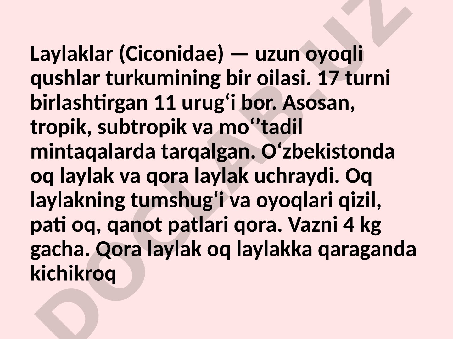 Laylaklar (Ciconidae)