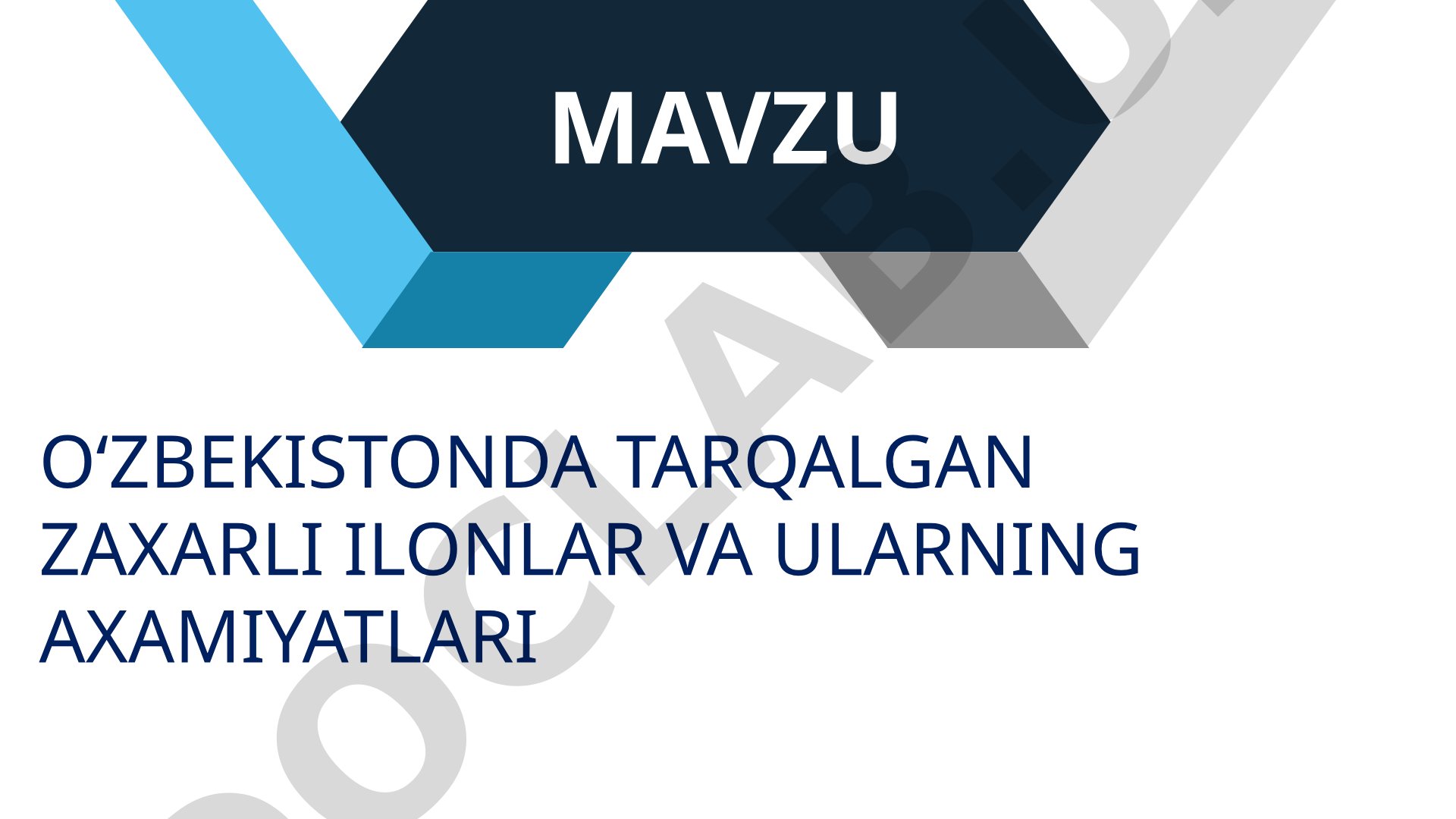 OʻZBEKISTONDA TARQALGAN ZAXARLI ILONLAR VA ULARNING AXAMIYATLARI
