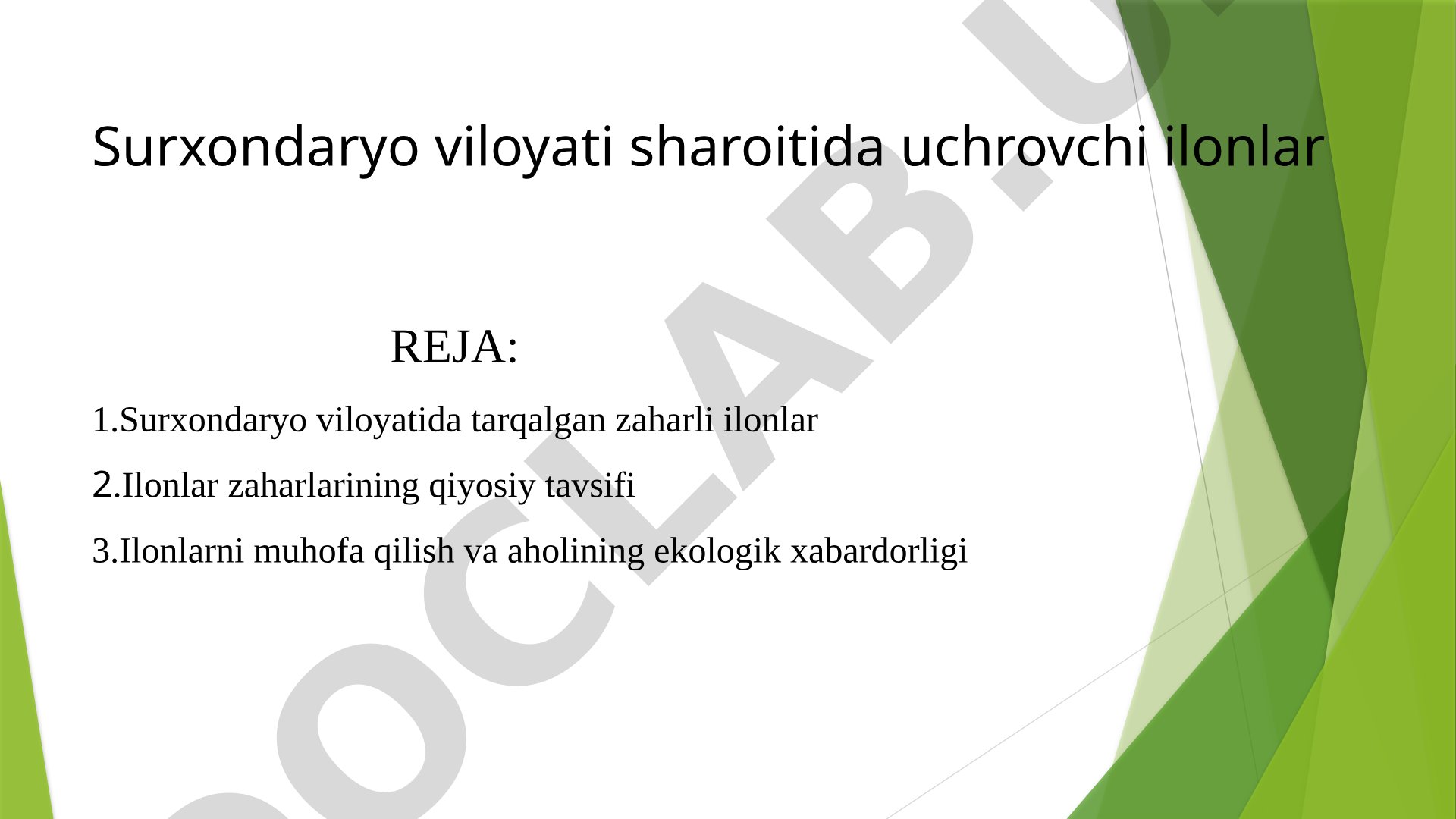 Surxondaryo viloyati sharoitida uchrovchi ilonlar