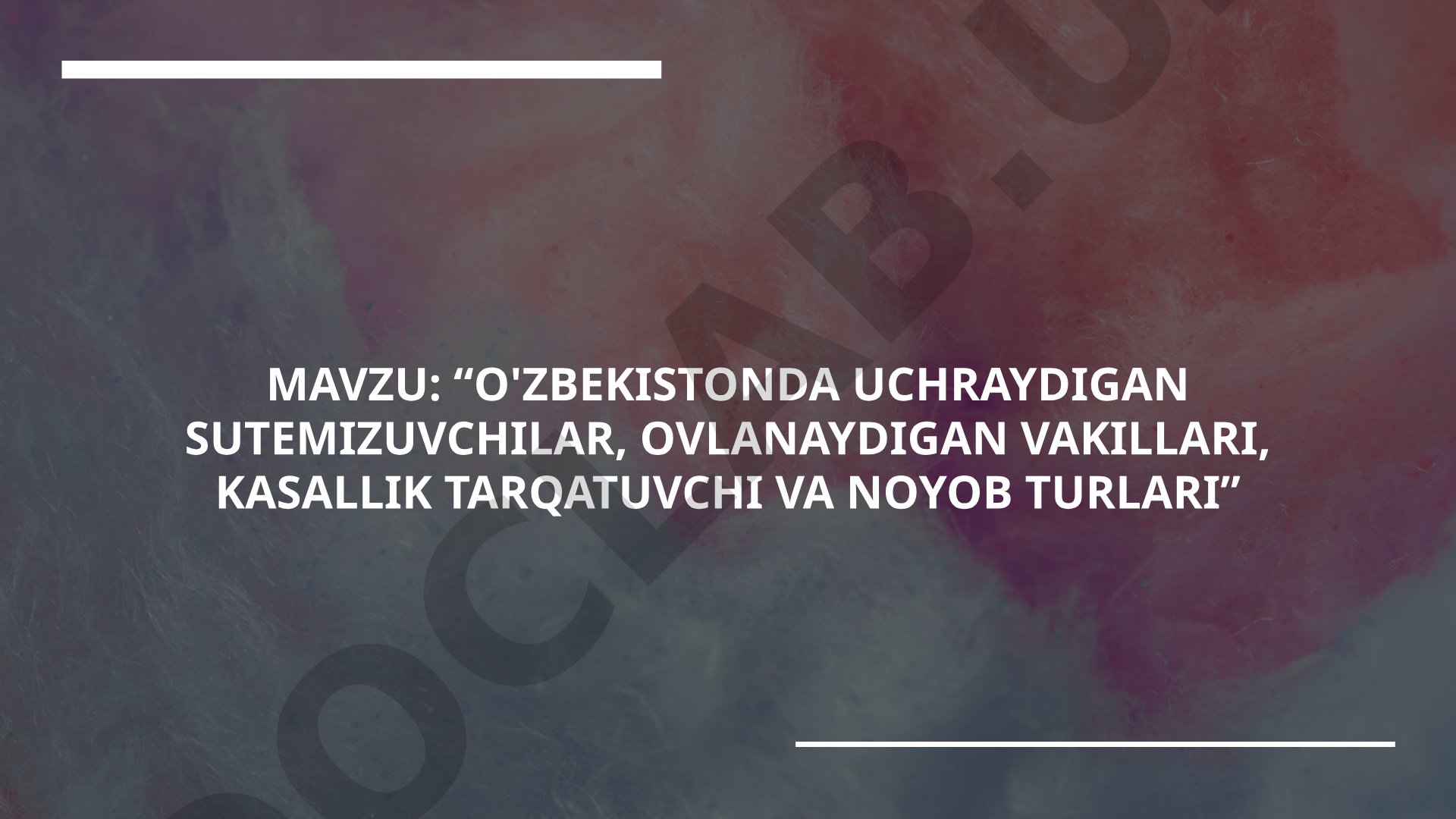 O'ZBEKISTONDA UCHRAYDIGAN SUTEMIZUVCHILAR, OVLANAYDIGAN VAKILLARI, KASALLIK TARQATUVCHI VA NOYOB TURLARI