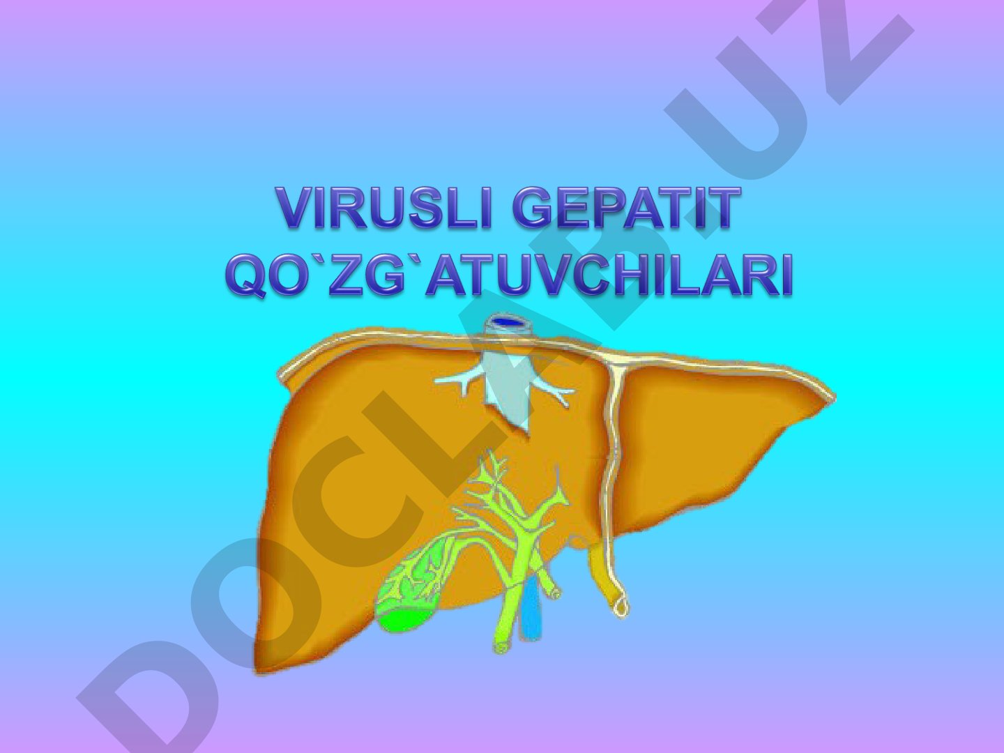 Virusli gepatitlarning turlari, qo'zg'atuvchilari va yuqish yo'llari haqida ma'lumot
