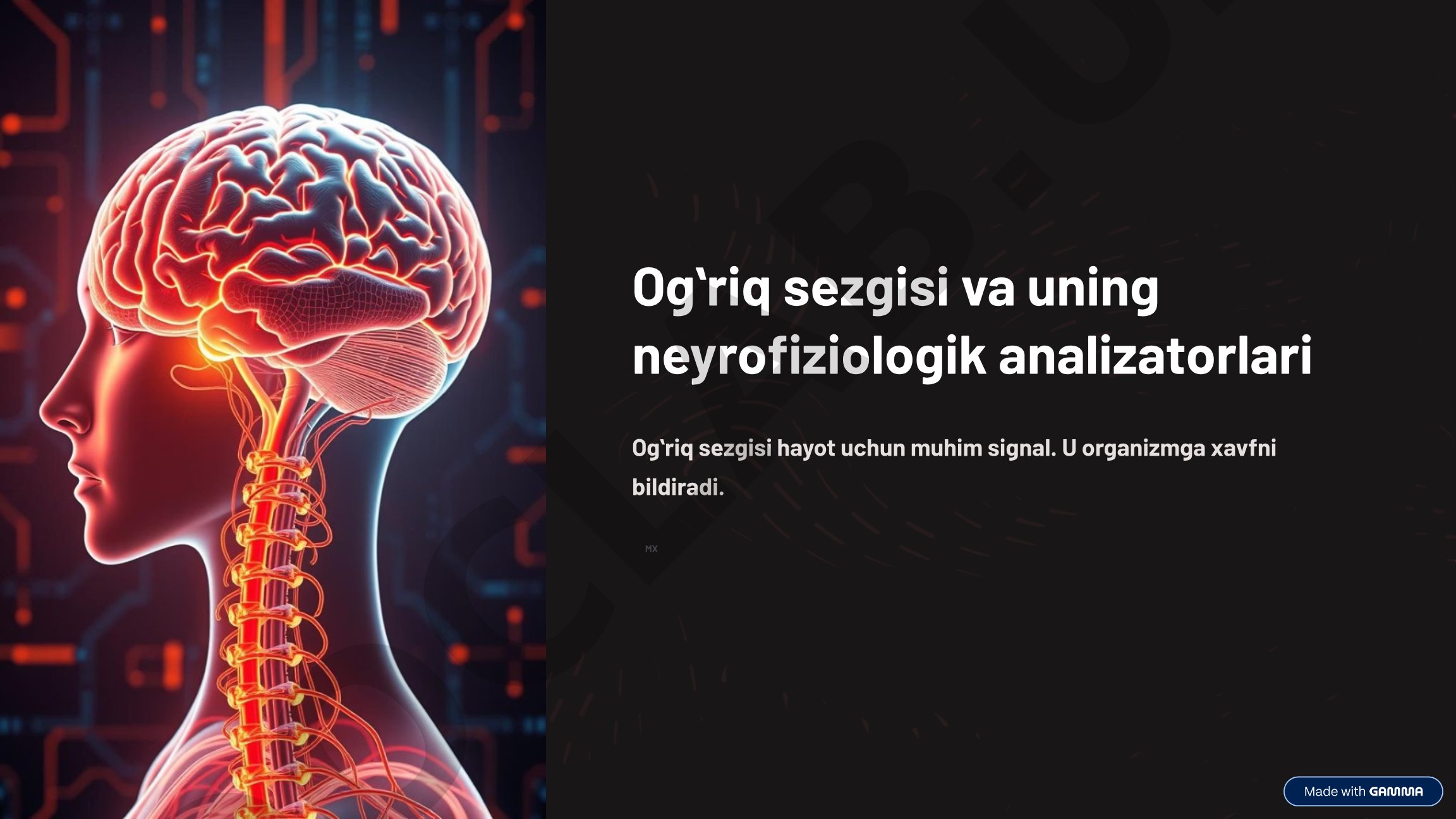 Ogʻriq sezgisi va uning neyrofiziologik analizatorlari