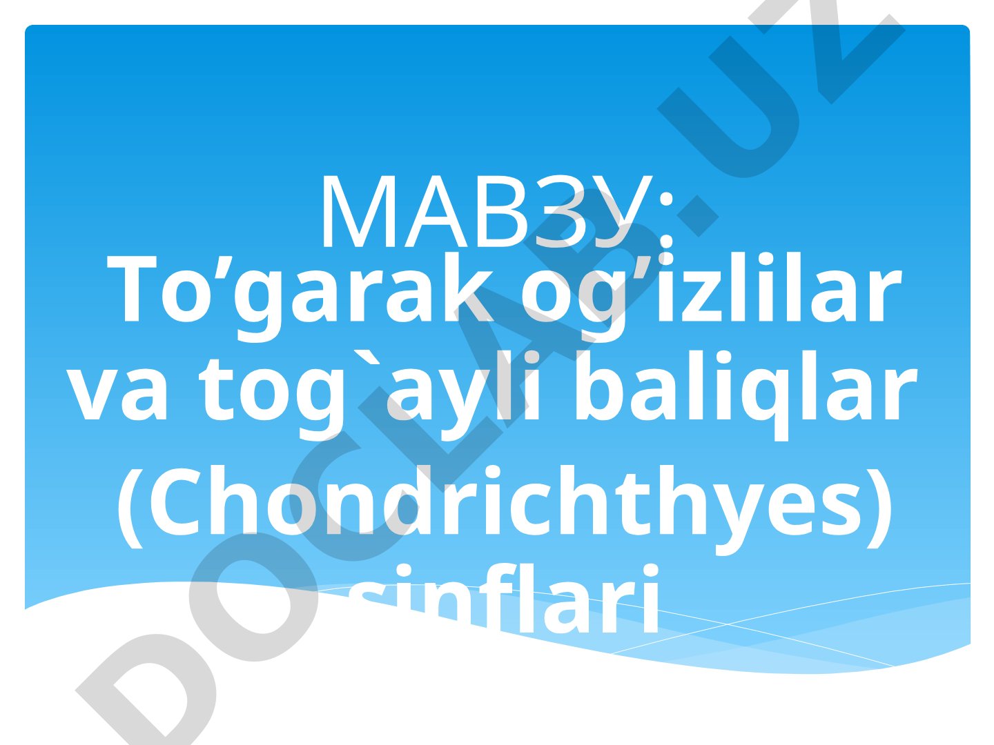 To‘garak og‘izlilar va tog‘ayli baliqlar (Chondrichthyes) sinflari