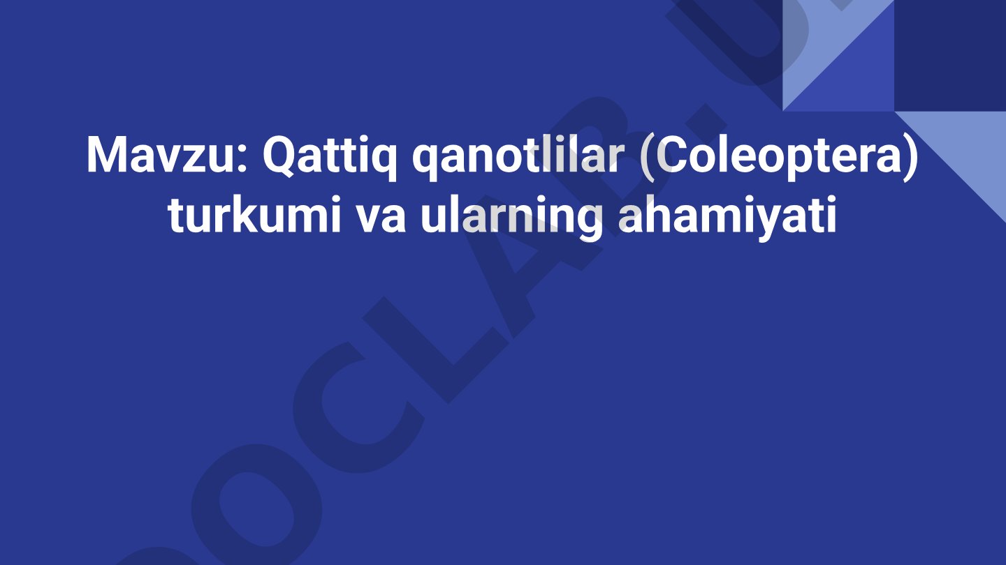 Qattiq qanotlilar (Coleoptera) turkumi va ularning ahamiyati