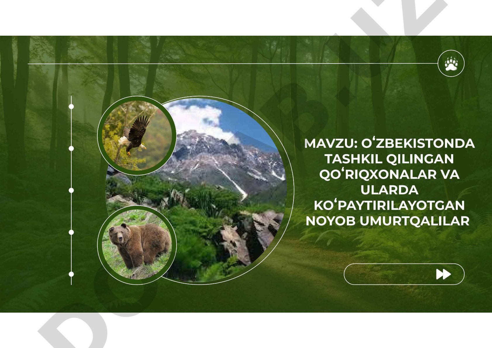Metadata yaratish qoidalari va talablari
