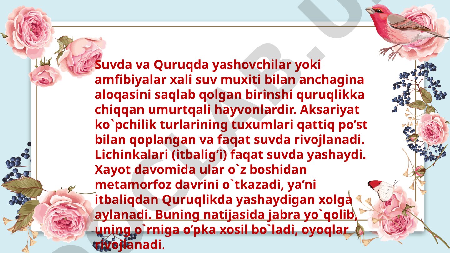Suvda va quruqda yashovchilar (amfibiyalar)