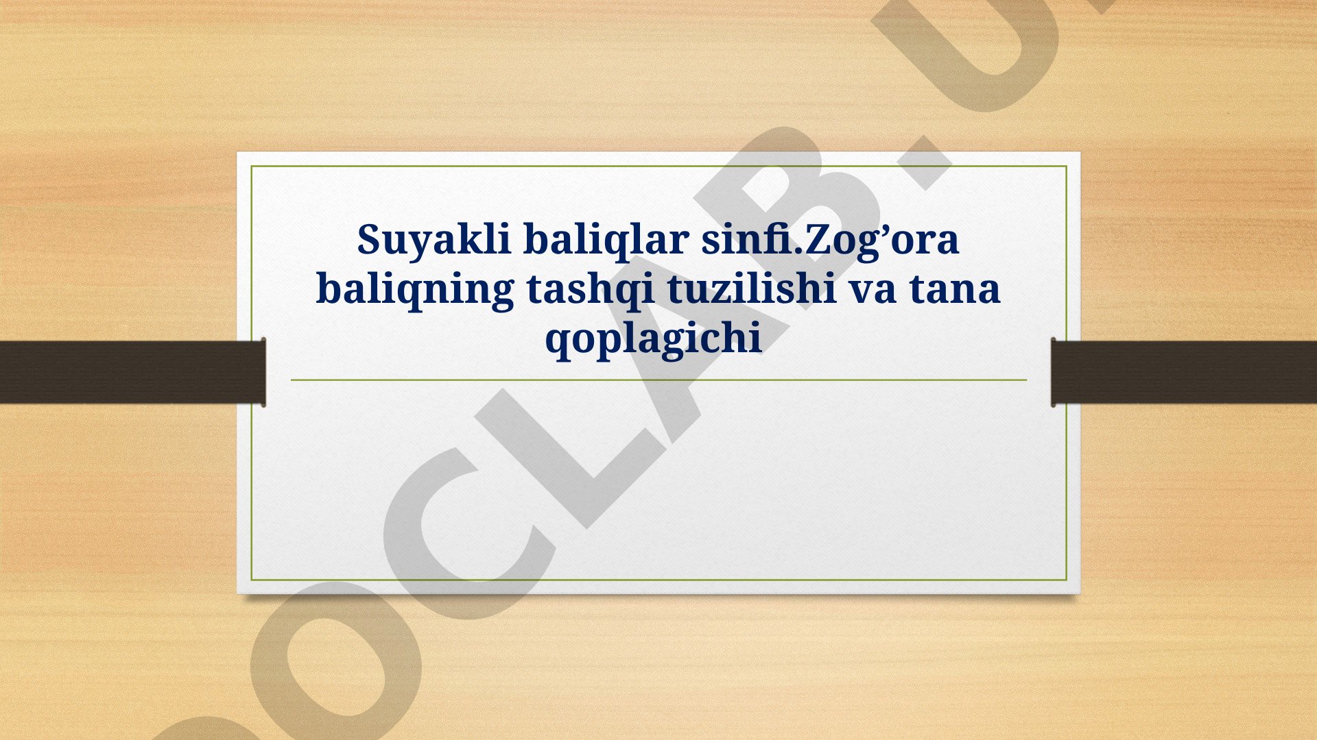 Suyakli baliqlar sinfi. Zog'ora baliqning tashqi tuzilishi va tana qoplagichi
