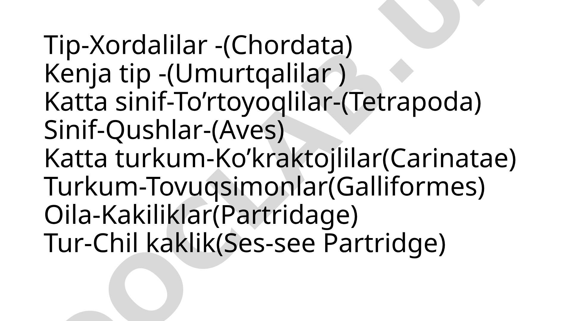 Kaklik (Alectoris kakelik)