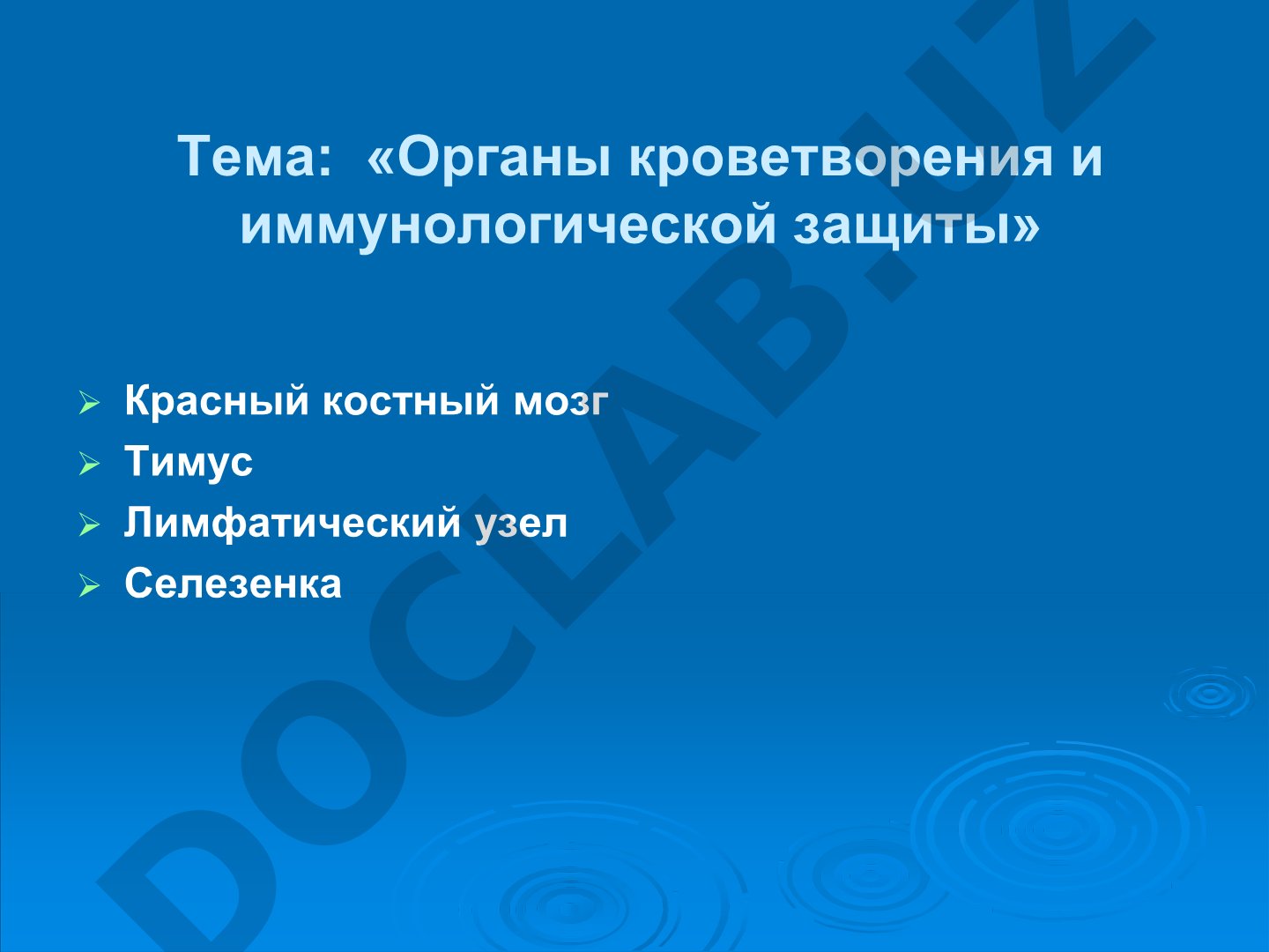 Органы кроветворения и иммунологической защиты