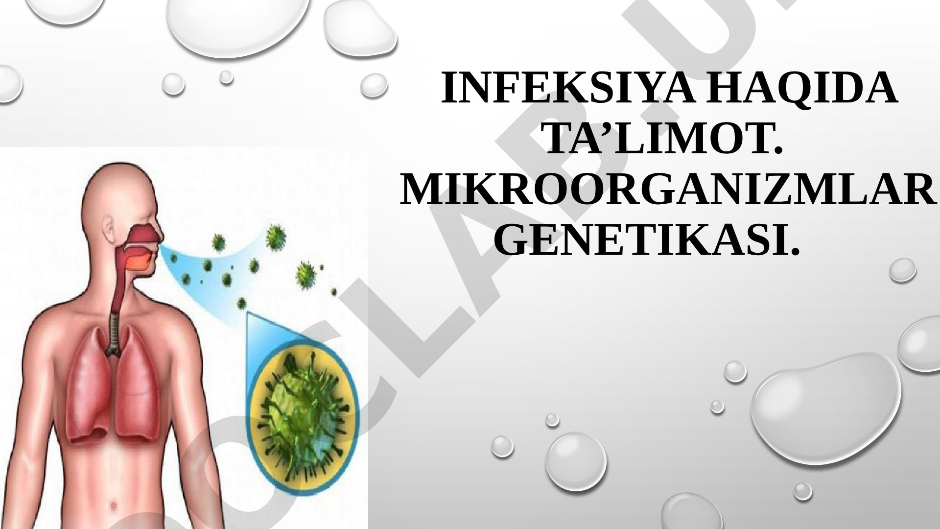 Infeksiya haqida ta'limot va mikroorganizmlar genetika