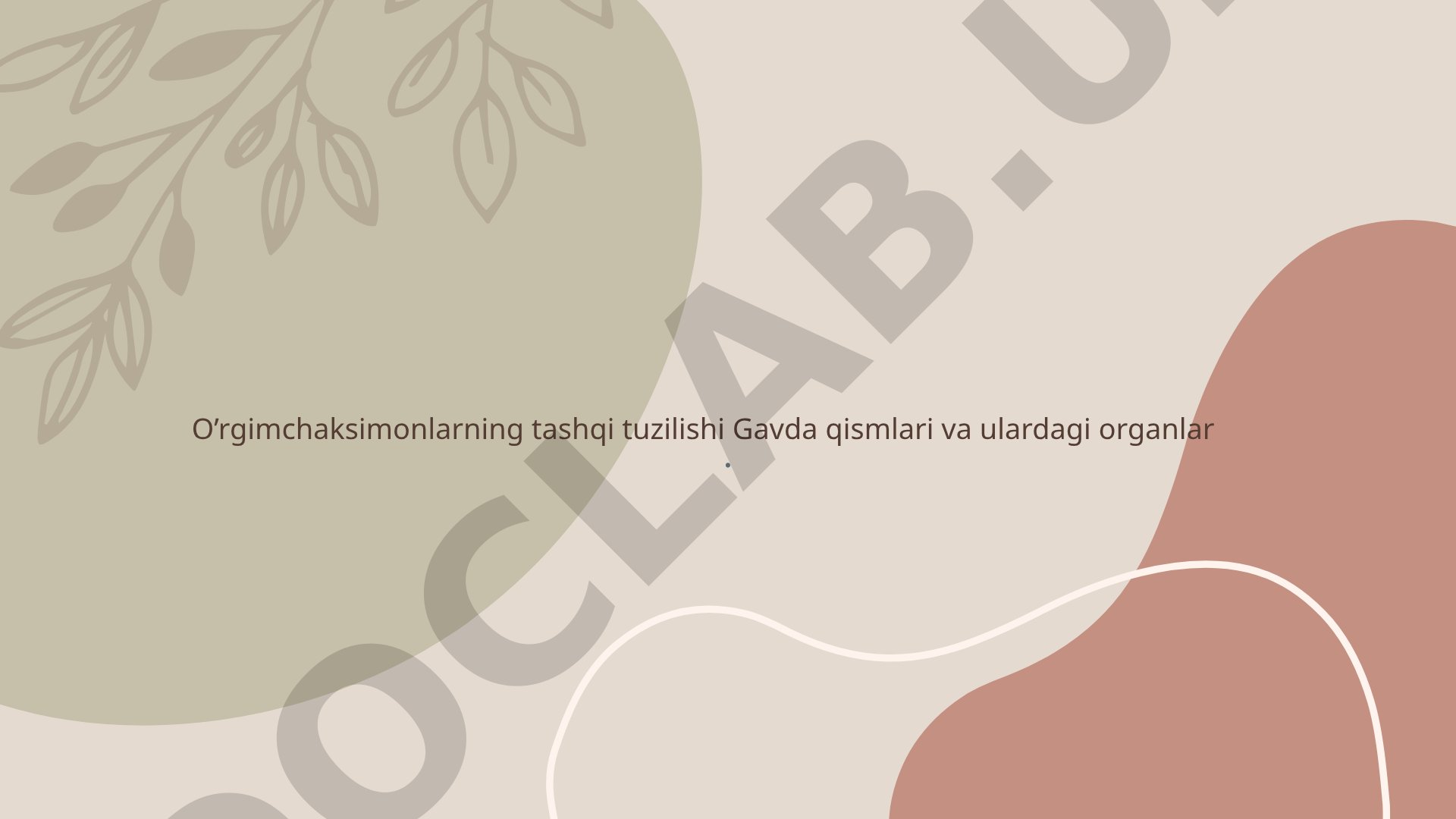O'rgimchaksimonlar tanasining tuzilishi, bosh va ko'krak qismlari, oyoqlar haqida