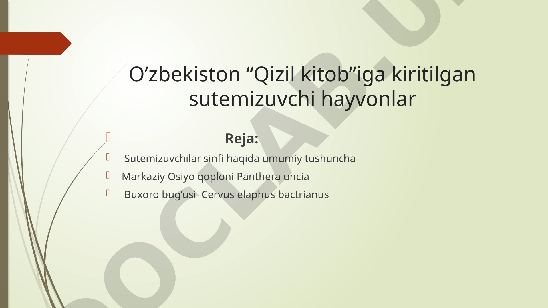O’zbekiston “Qizil kitob”iga kiritilgan sutemizuvchi hayvonlar