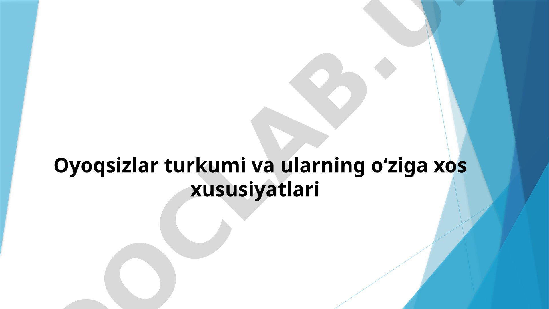 Oyoqsizlar turkumi va ularning o‘ziga xos xususiyatlari