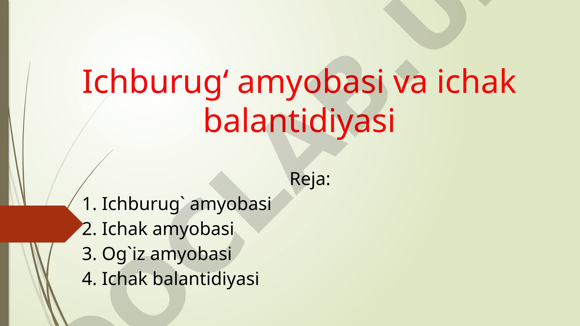 Ichburug‘ amyobasi va ichak balantidiyasi