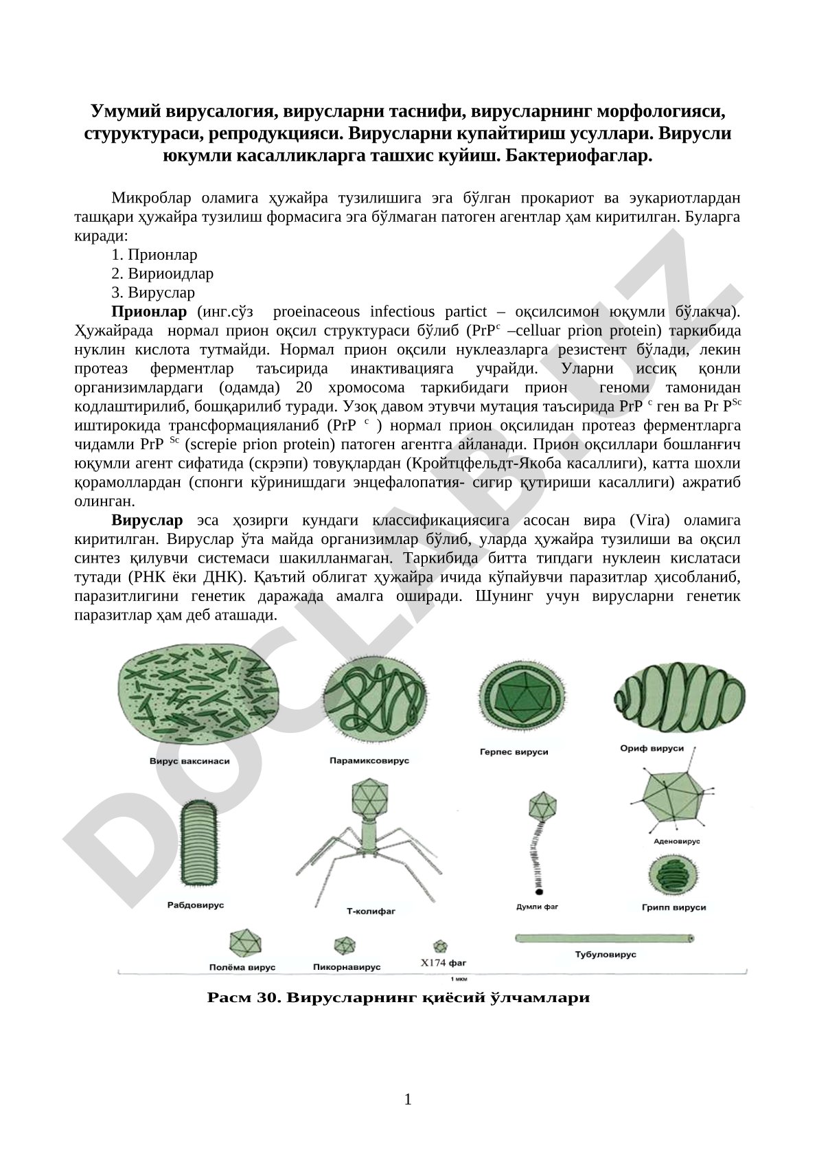 Умумий вирусалогия, вирусларни таснифи, морфологияси, структураси, репродукцияси