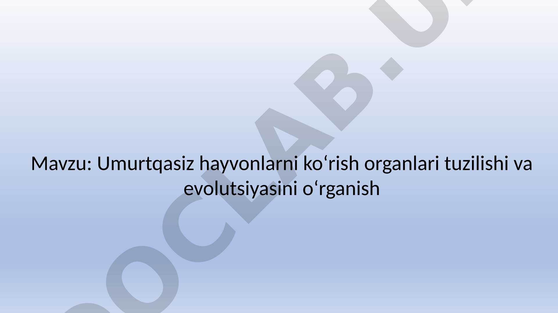 Umurtqasiz hayvonlarni koʻrish organlari tuzilishi va evolutsiyasini oʻrganish