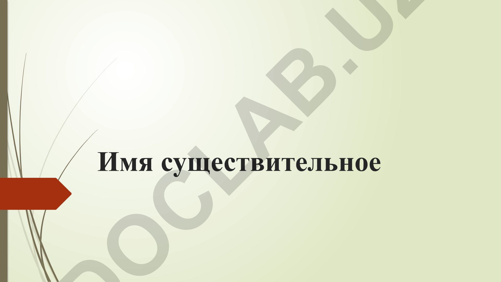 Имя существительное: общие сведения и классификация