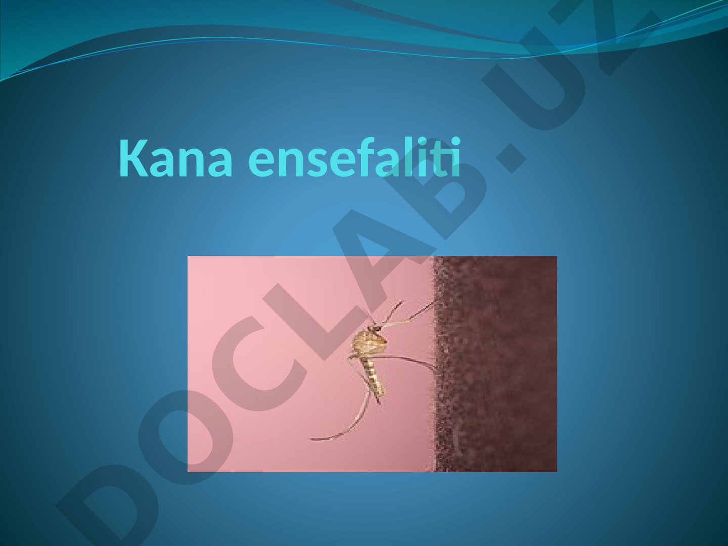 Kana ensefaliti kasalligi, uning etiologiyasi, epidemiologiyasi va yuqish yo'llari
