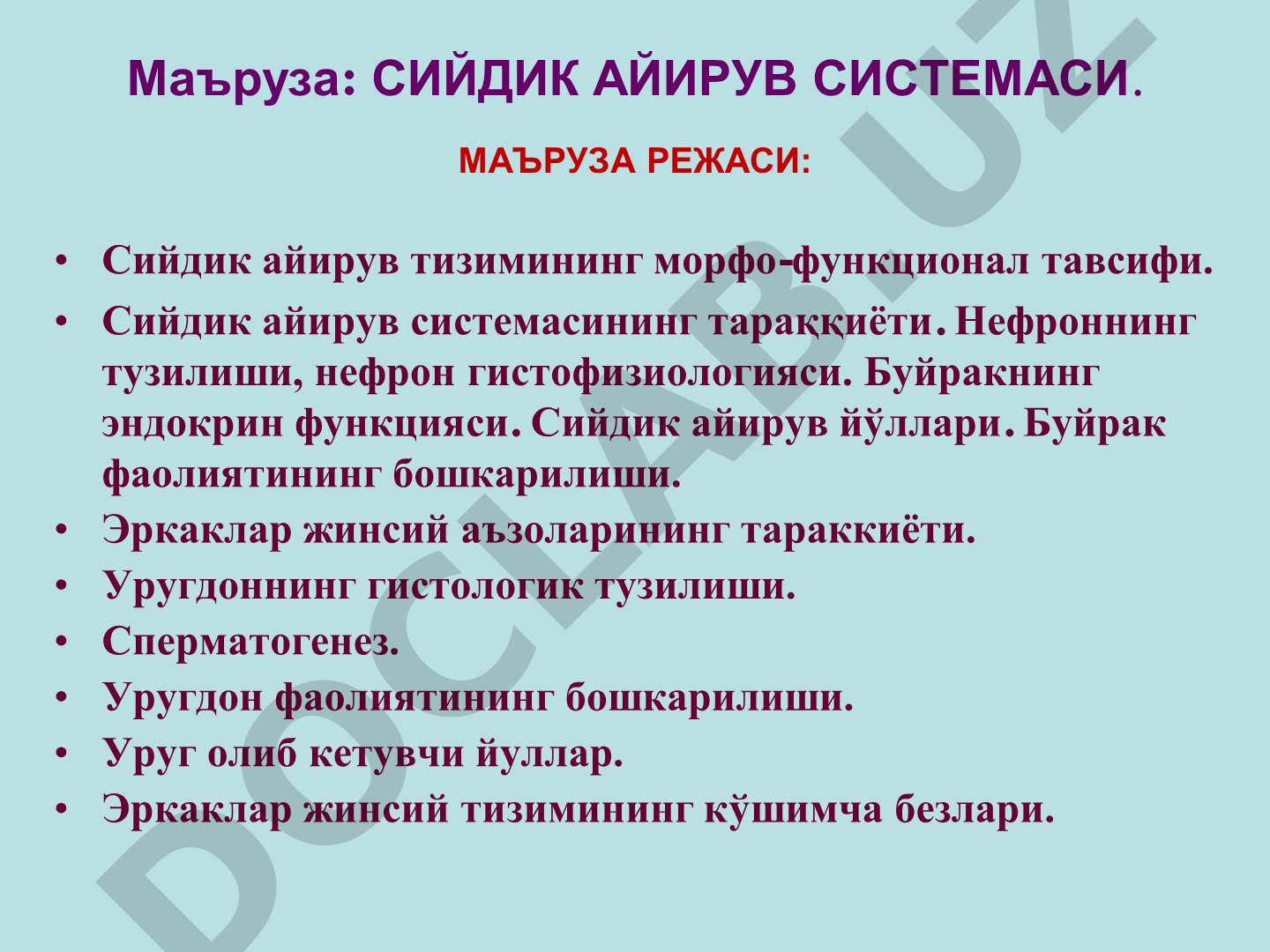 Сийдик айирув системаси ва эркаклар жинсий аъзолари морфофункционал тавсифи