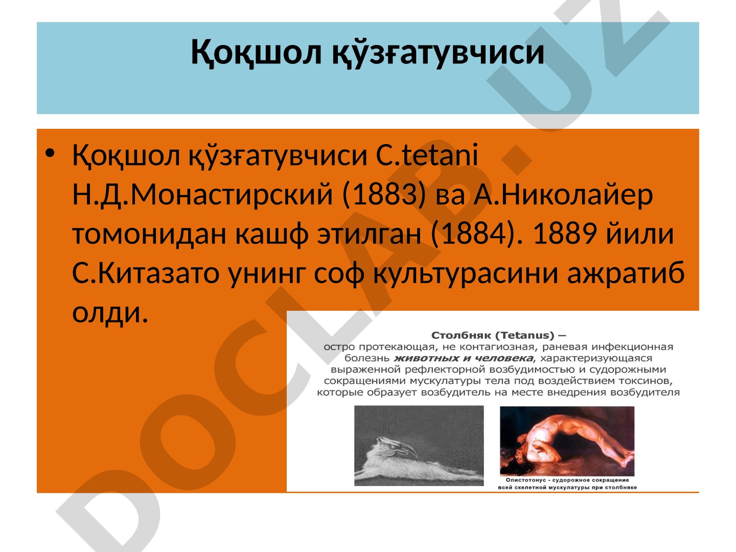 Clostridium tetani bakteriyasi va tetanus kasalligi