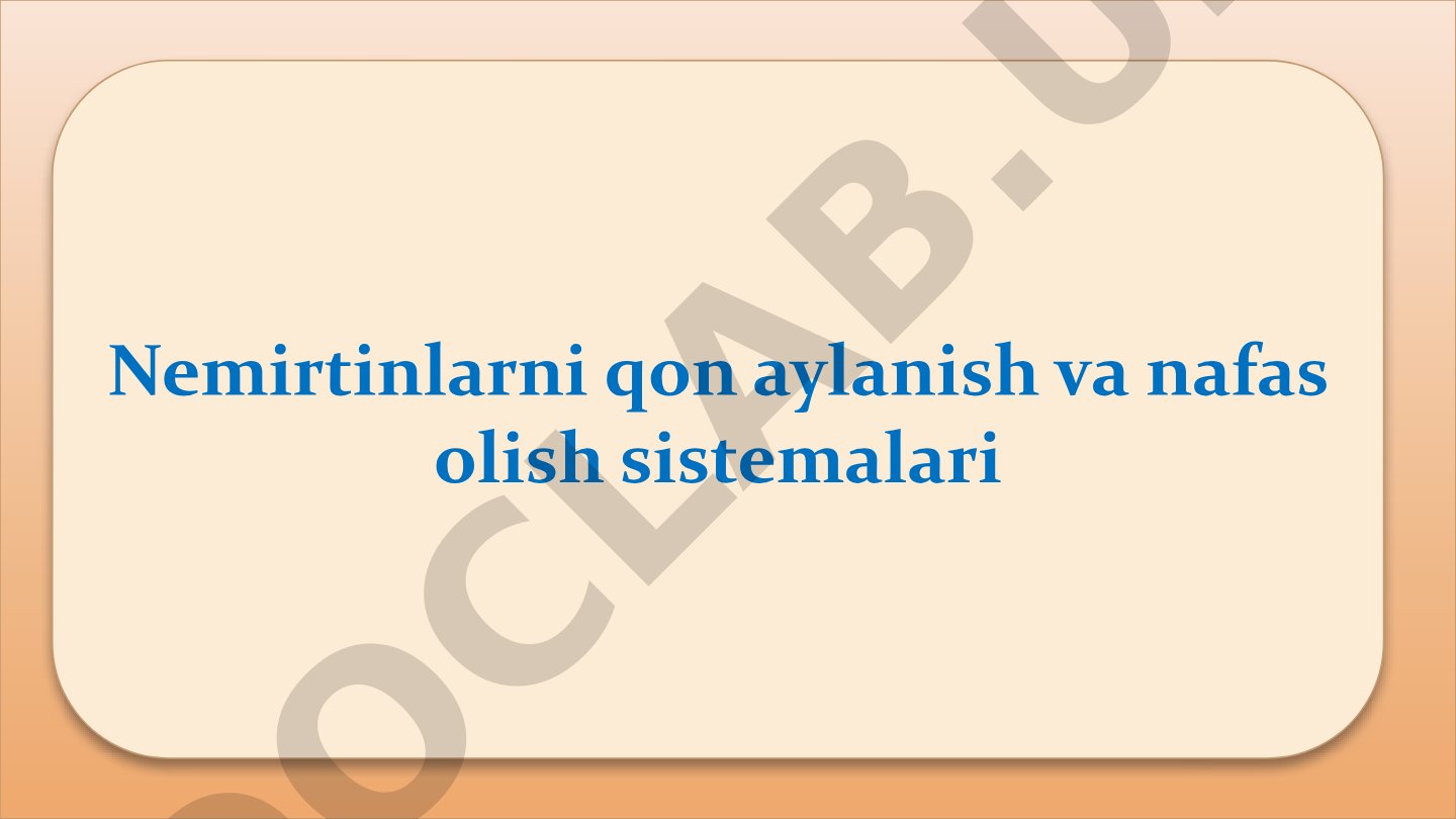 Nemirtinlarni qon aylanish va nafas olish sistemalari