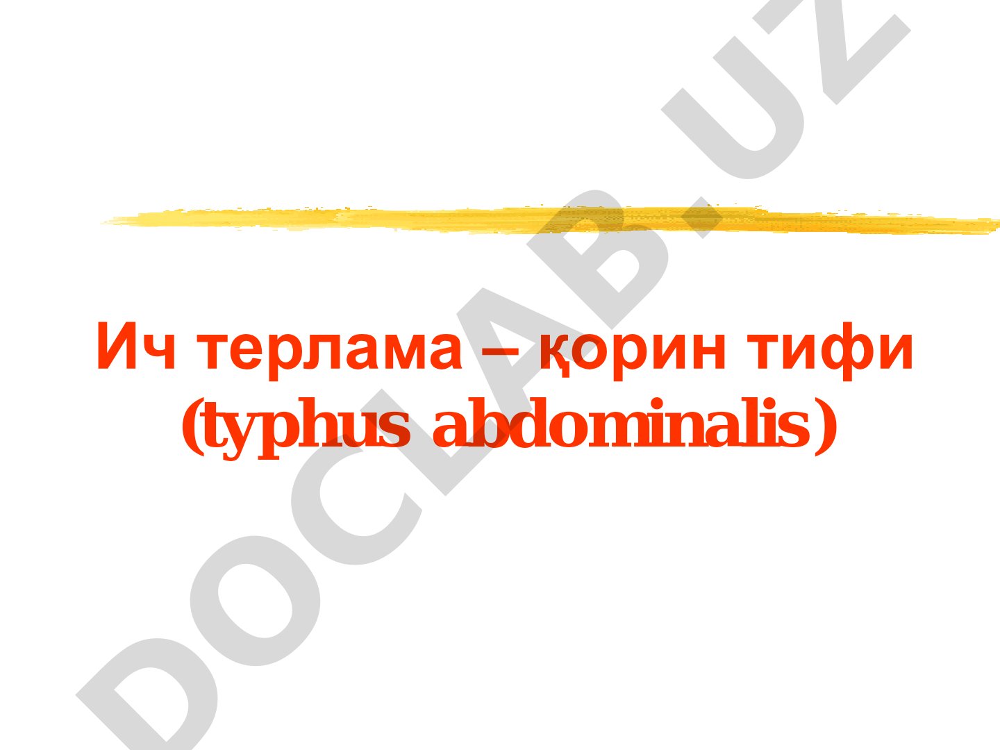Ich terlama – qorin tifi (typhus abdominalis)