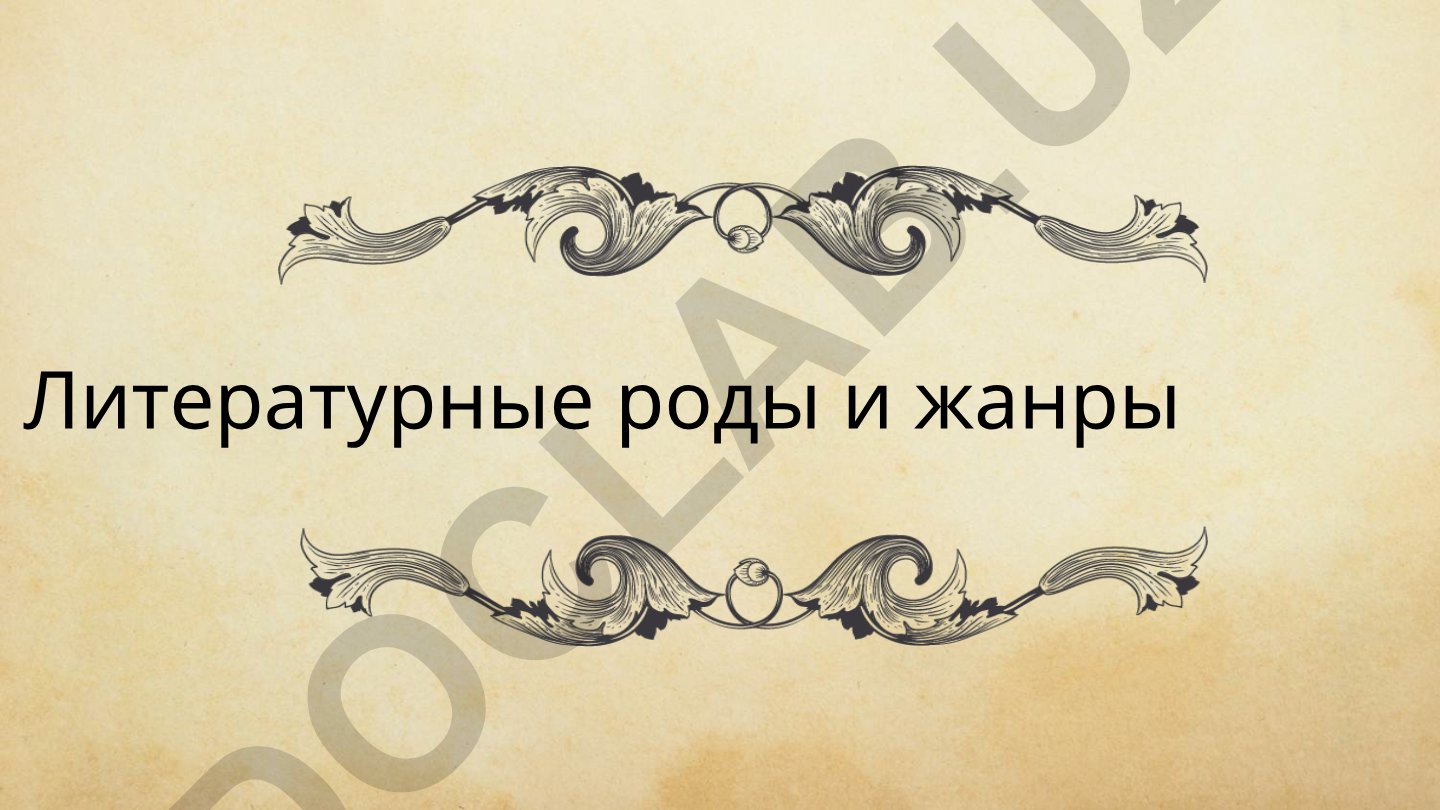 Литературные роды и жанры