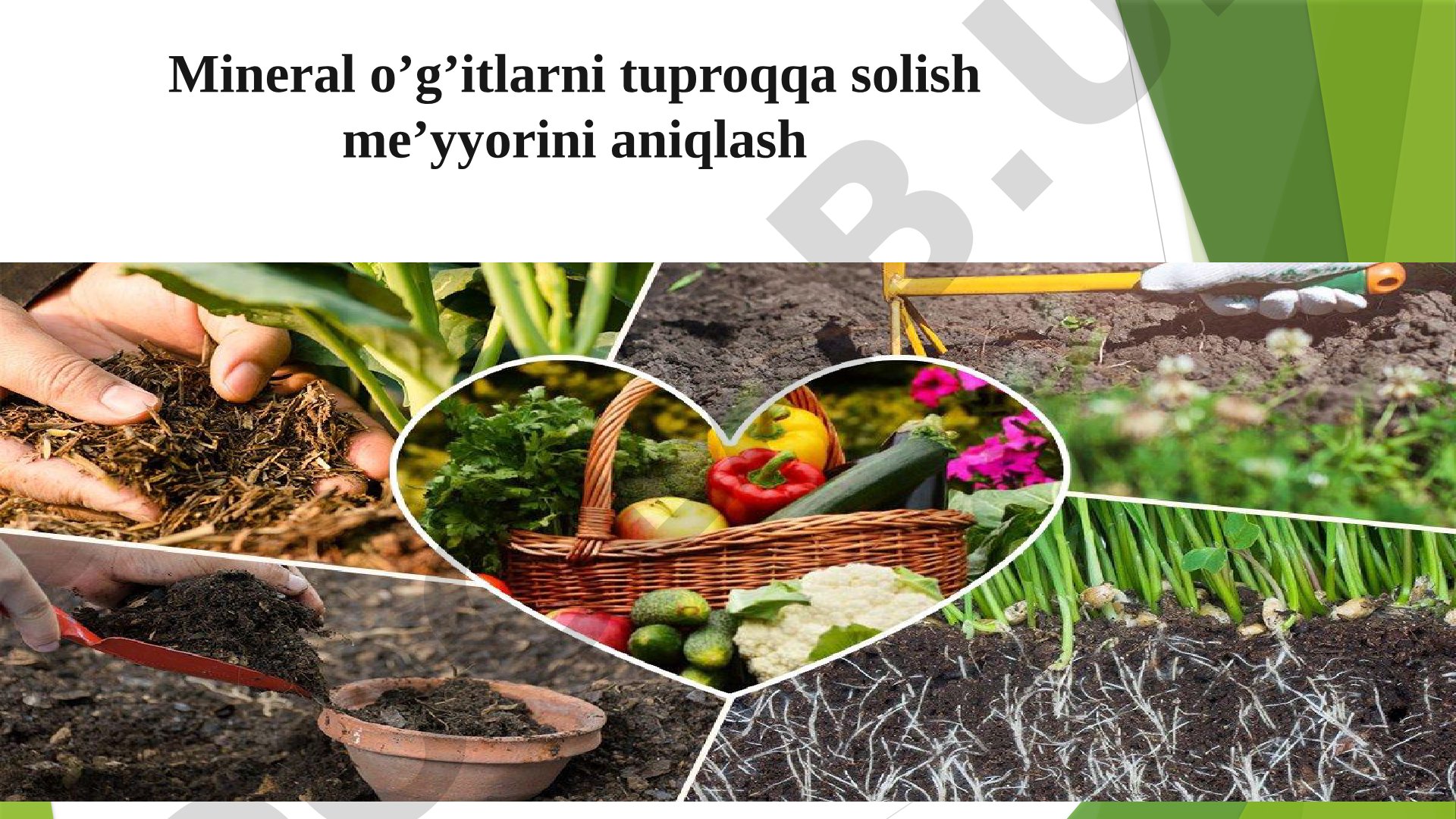 Mineral o'g'itlarni tuproqqa solish me'yorini aniqlash