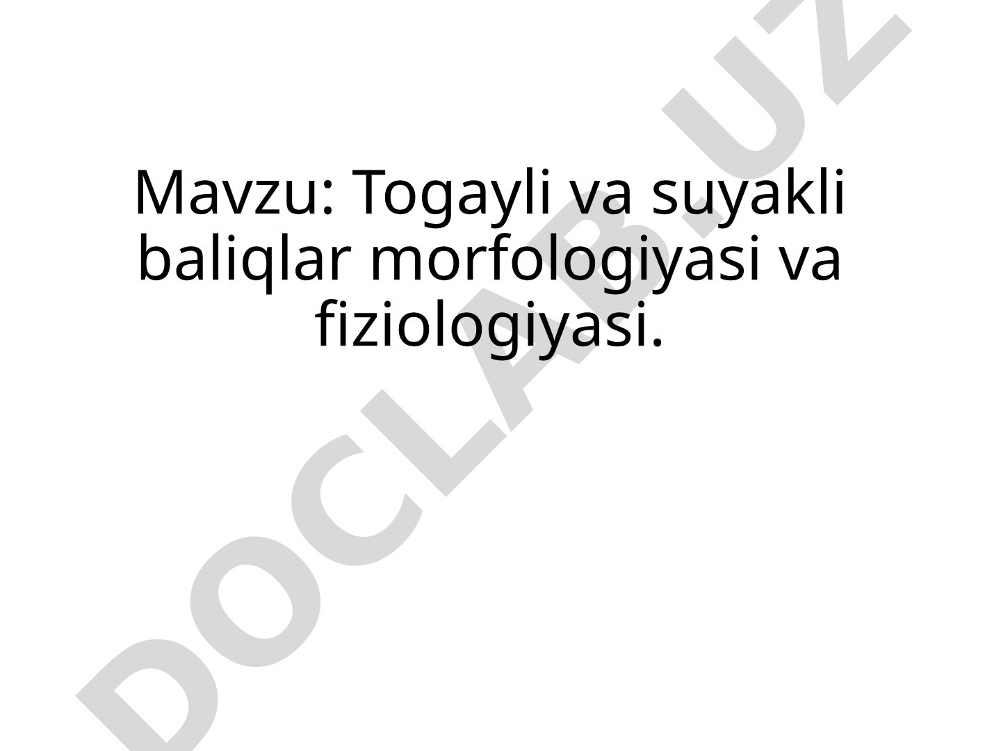 Togayli va suyakli baliqlar morfologiyasi va fiziologiyasi