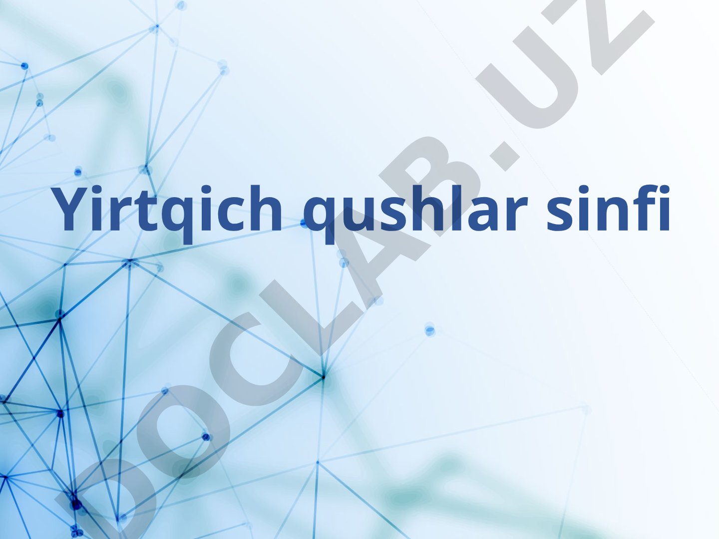 Yirtqich qushlar sinfi: oziqlanishi, tuzilishi, turlari va tarqalishi haqida