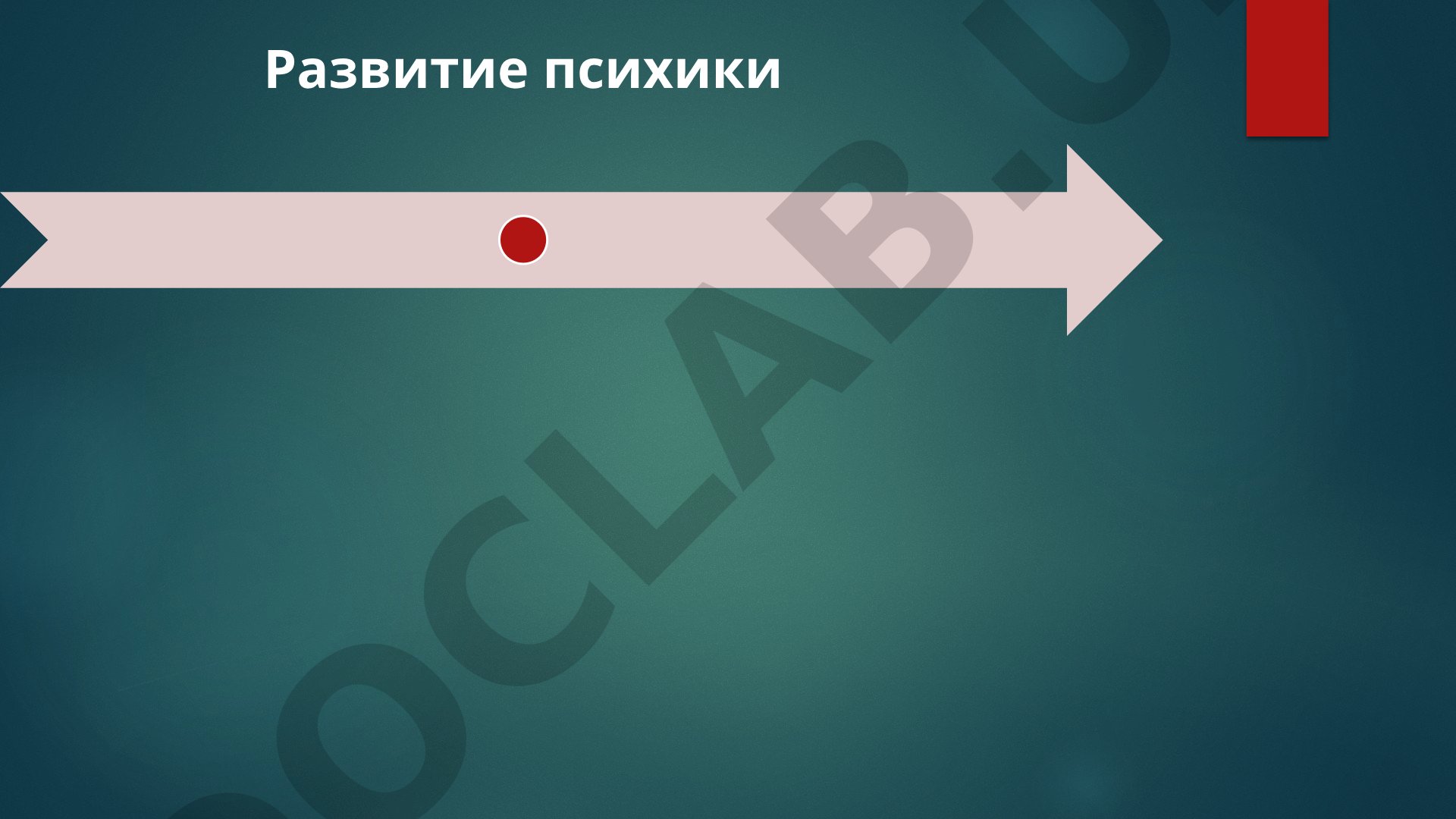 Развитие психики