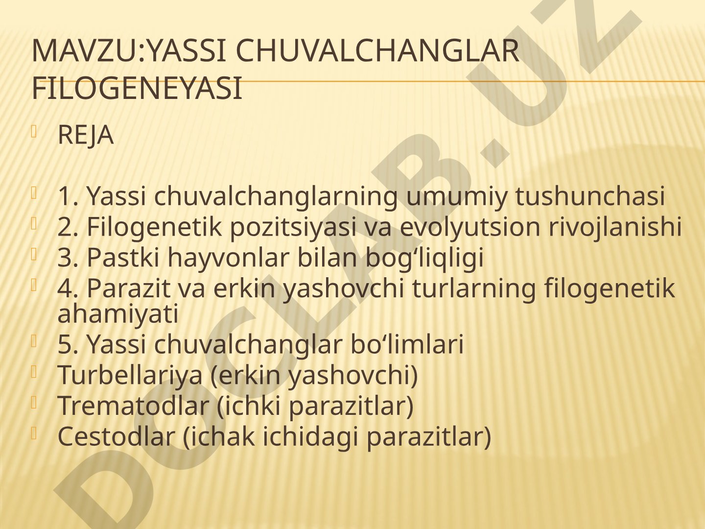 Yassi chuvalchanglar filogeniyasi, tuzilishi, bo'limlari va evolyutsion rivojlanishi