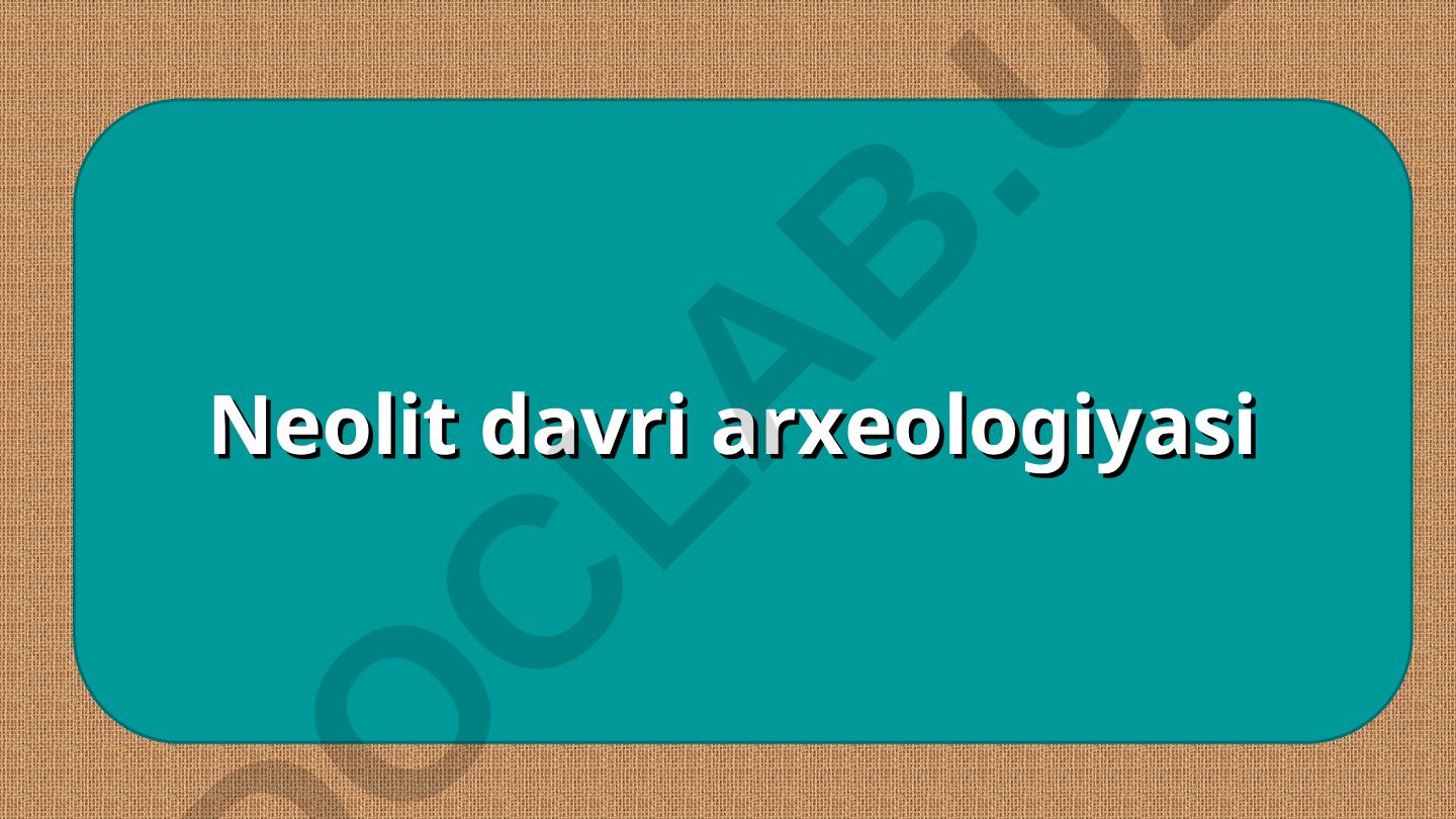 Neolit davri arxeologiyasi