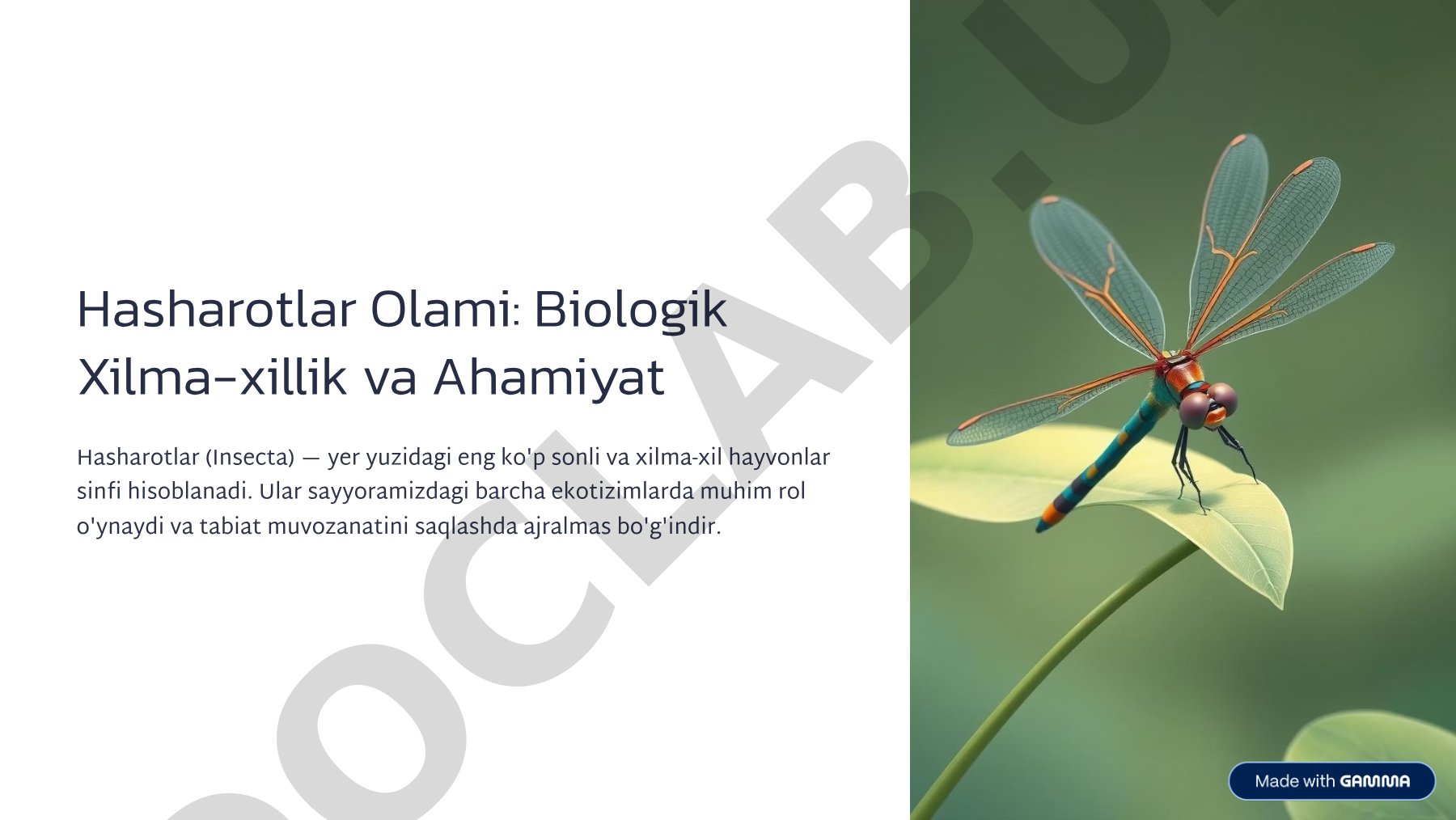 Hasharotlar Olami: Biologik Xilma-xillik va Ahamiyat