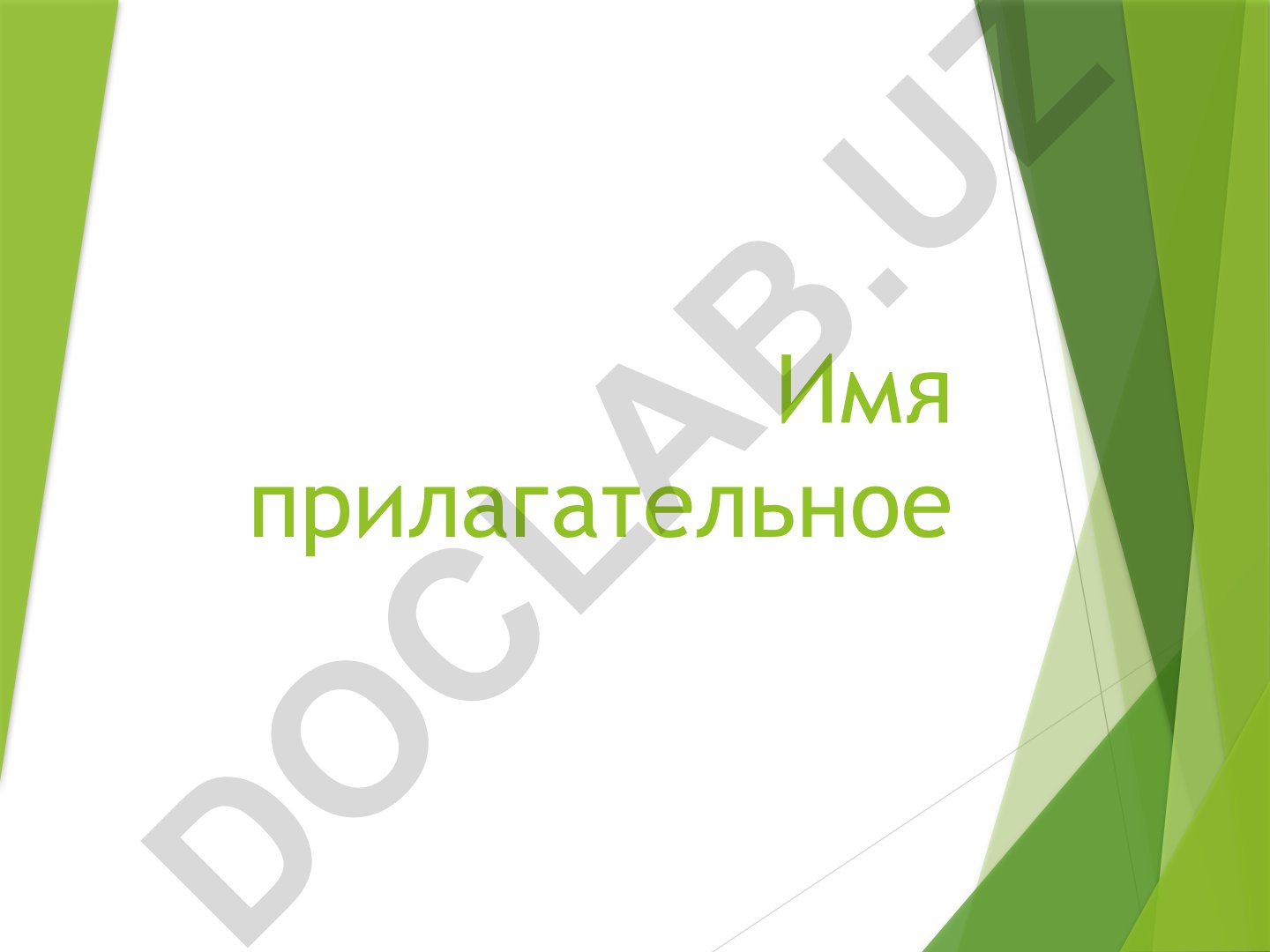 Имя прилагательное в русском языке