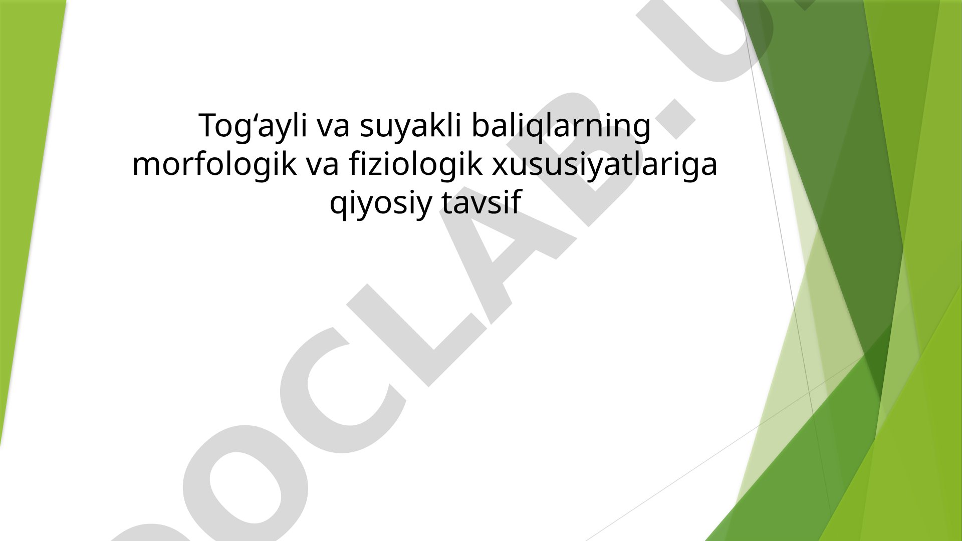 Tog‘ayli va suyakli baliqlarning morfologik va fiziologik xususiyatlariga qiyosiy tavsif