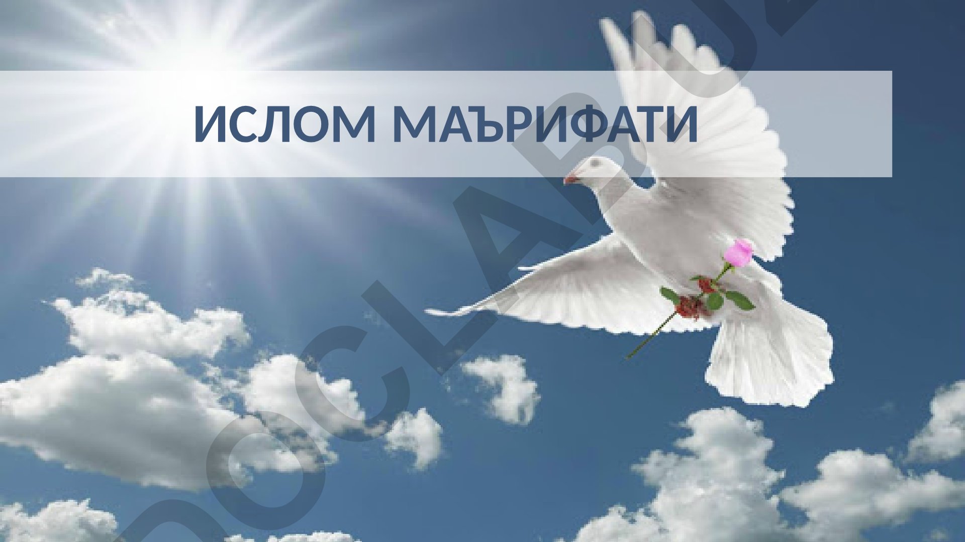 Ислом маърифати ва қадриятлари