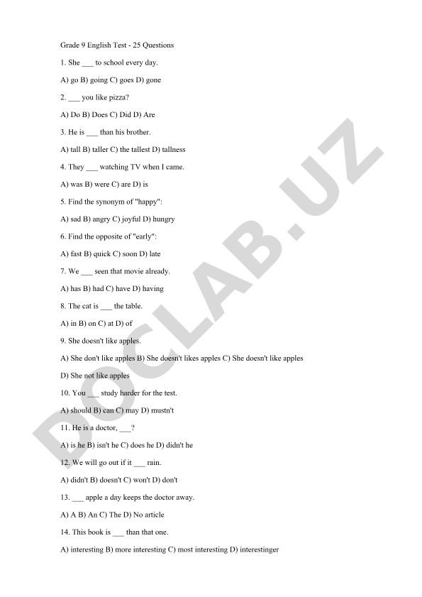 Grade 9 English Test - 25 Questions