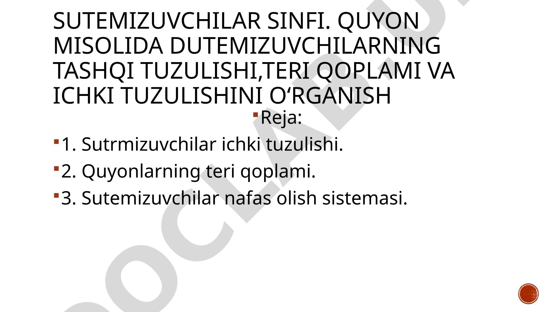 Quyon misolida dutemizuvchilarning tashqi tuzulishi, teri qoplami va ichki tuzulishini