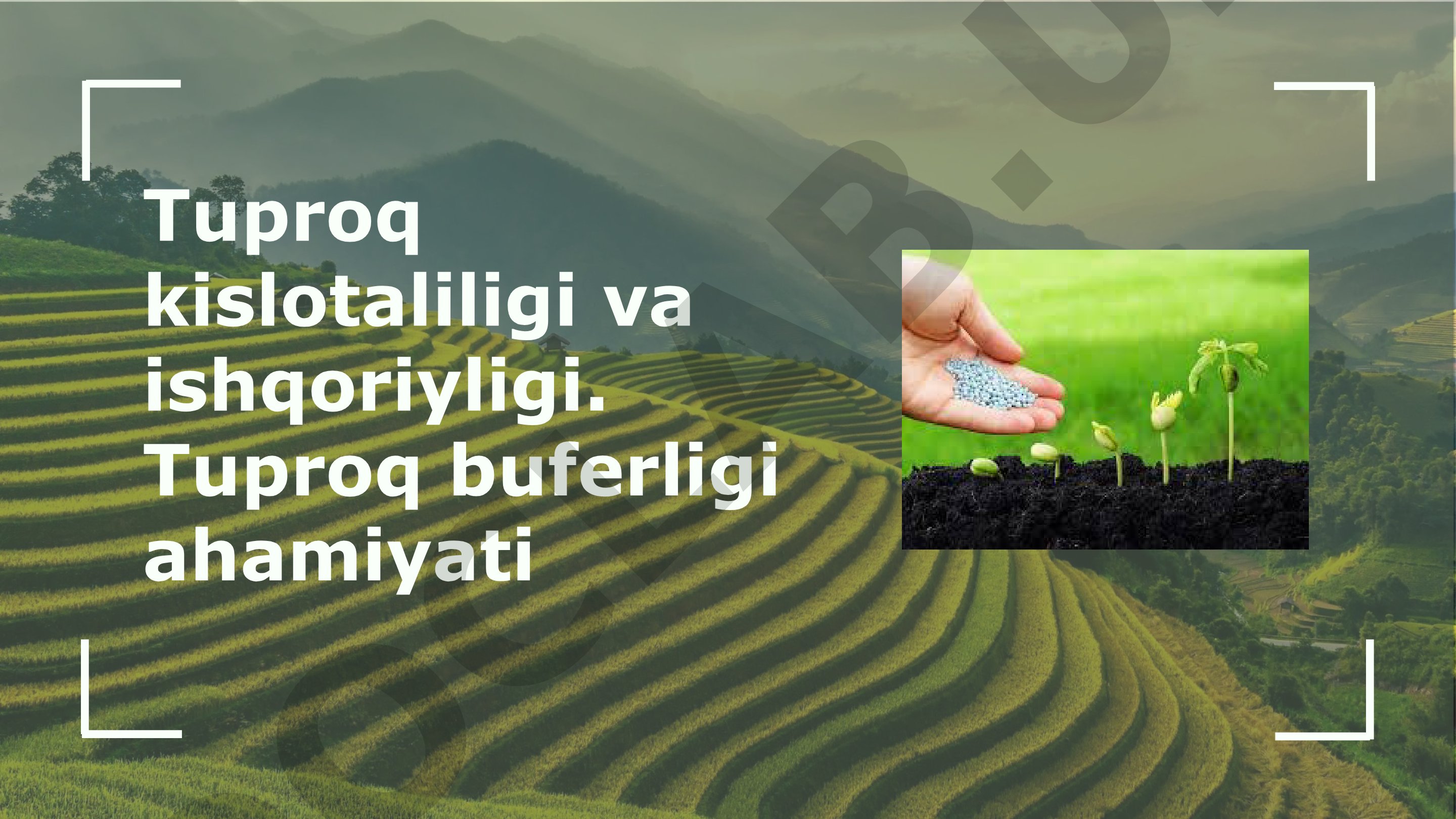 Tuproq kislotaliligi va ishqoriyligi, tuproq buferligi ahamiyati