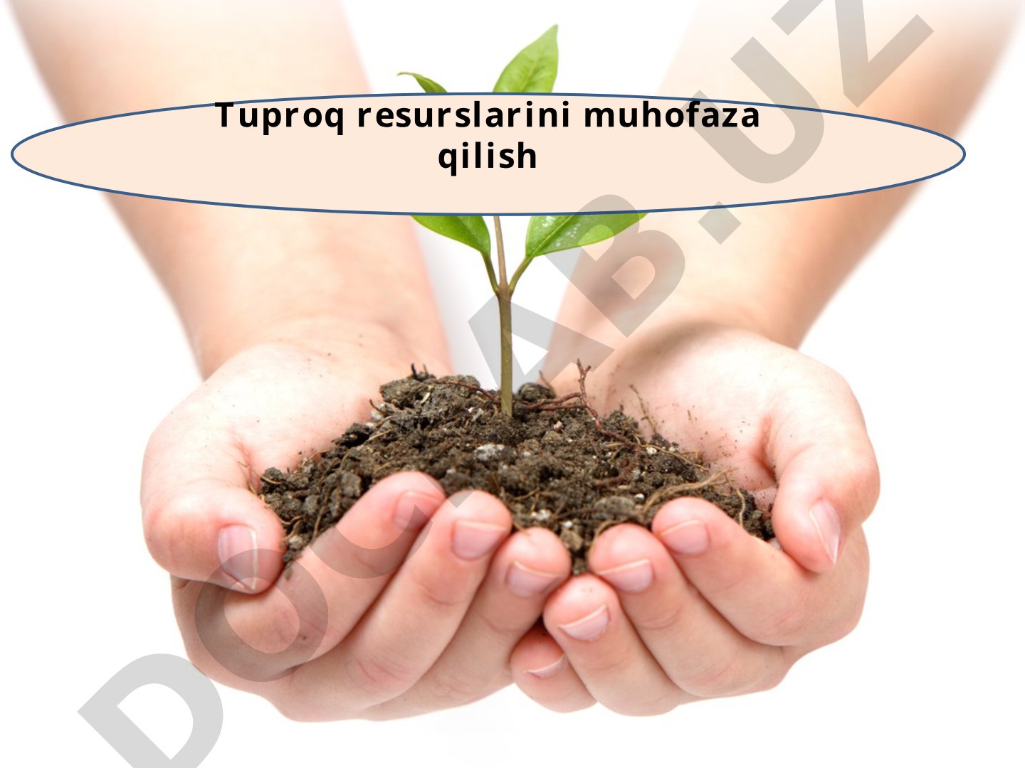Tuproq resurslarini muhofaza qilish
