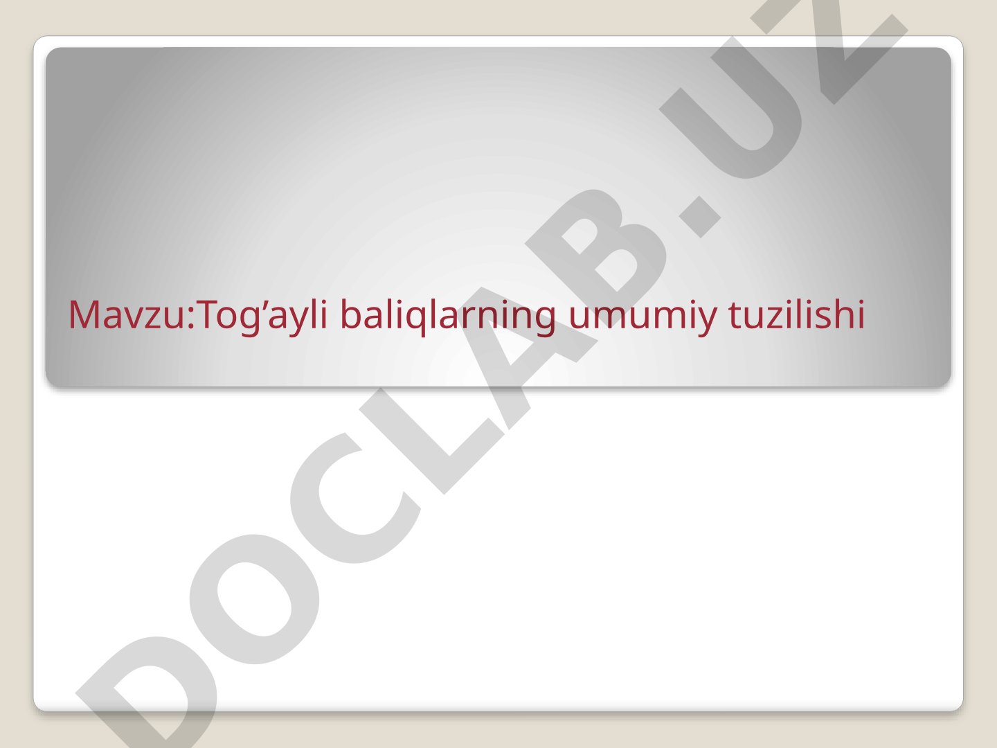 Tog'ayli baliqlarning umumiy tuzilishi