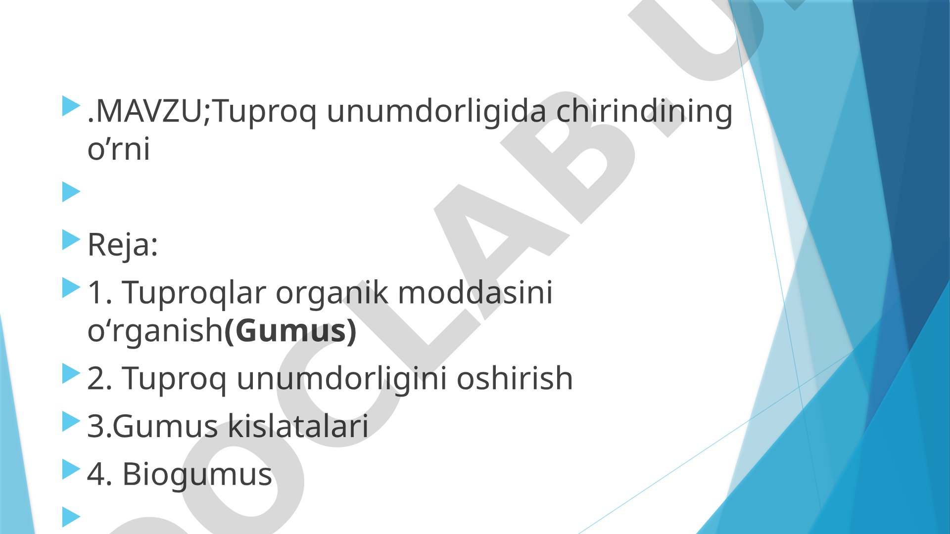 Tuproq unumdorligida chirindining o’rni