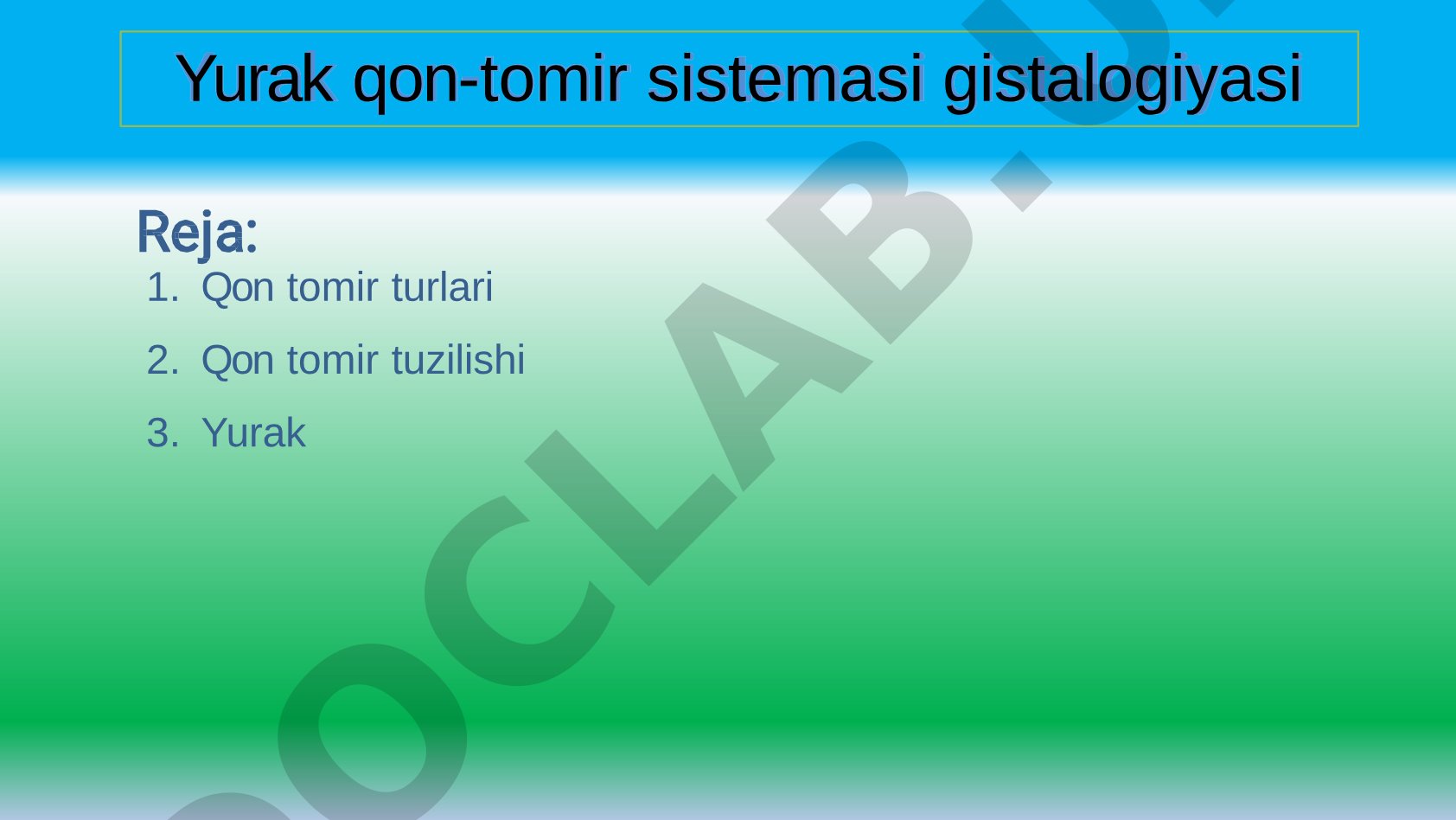 Yurak qon-tomir sistemasi gistalogiyasi