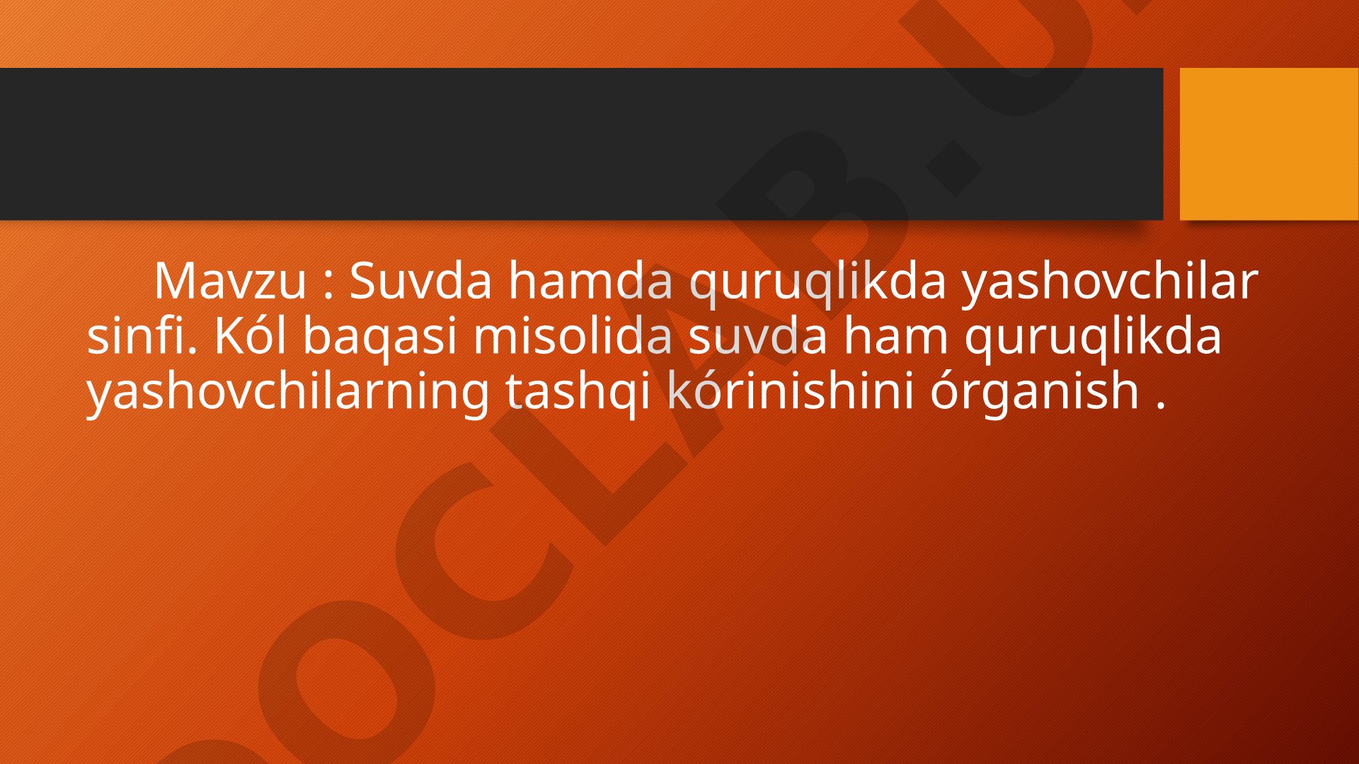 Suvda hamda quruqlikda yashovchilar sinfi. Ko'l baqasi misolida suvda ham quruqlikda yashovchilarning tashqi ko'rinishini o'rganish